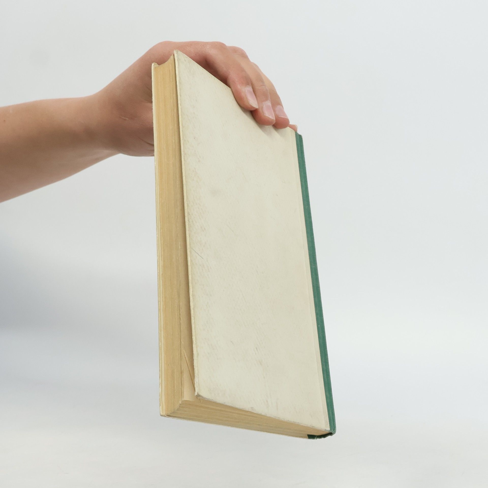 E. Brenner Deutsche Literaturgeschichte