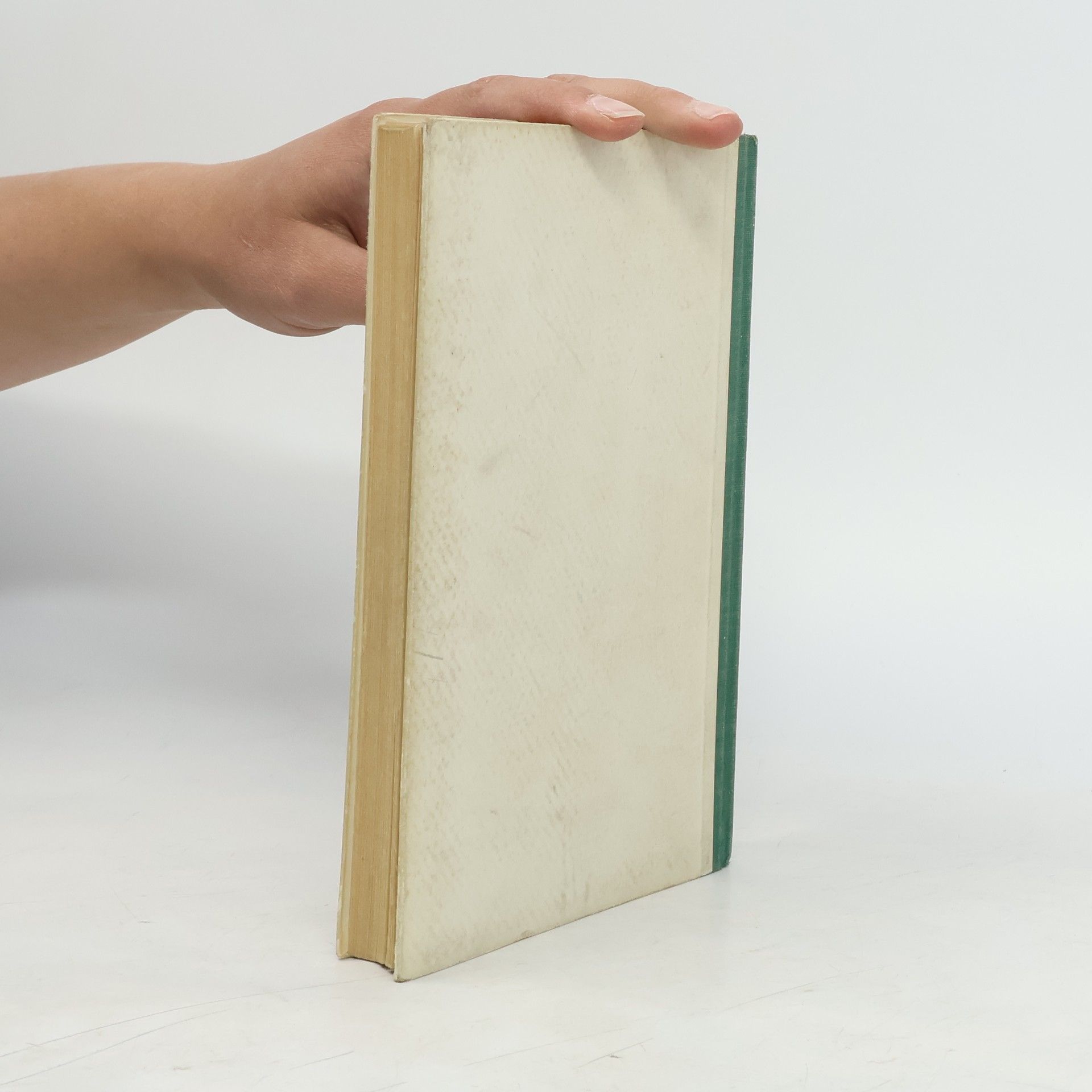 E. Brenner Deutsche Literaturgeschichte