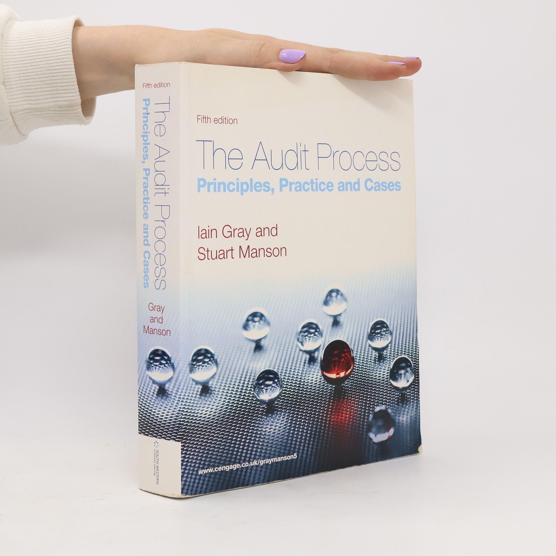The Audit Process