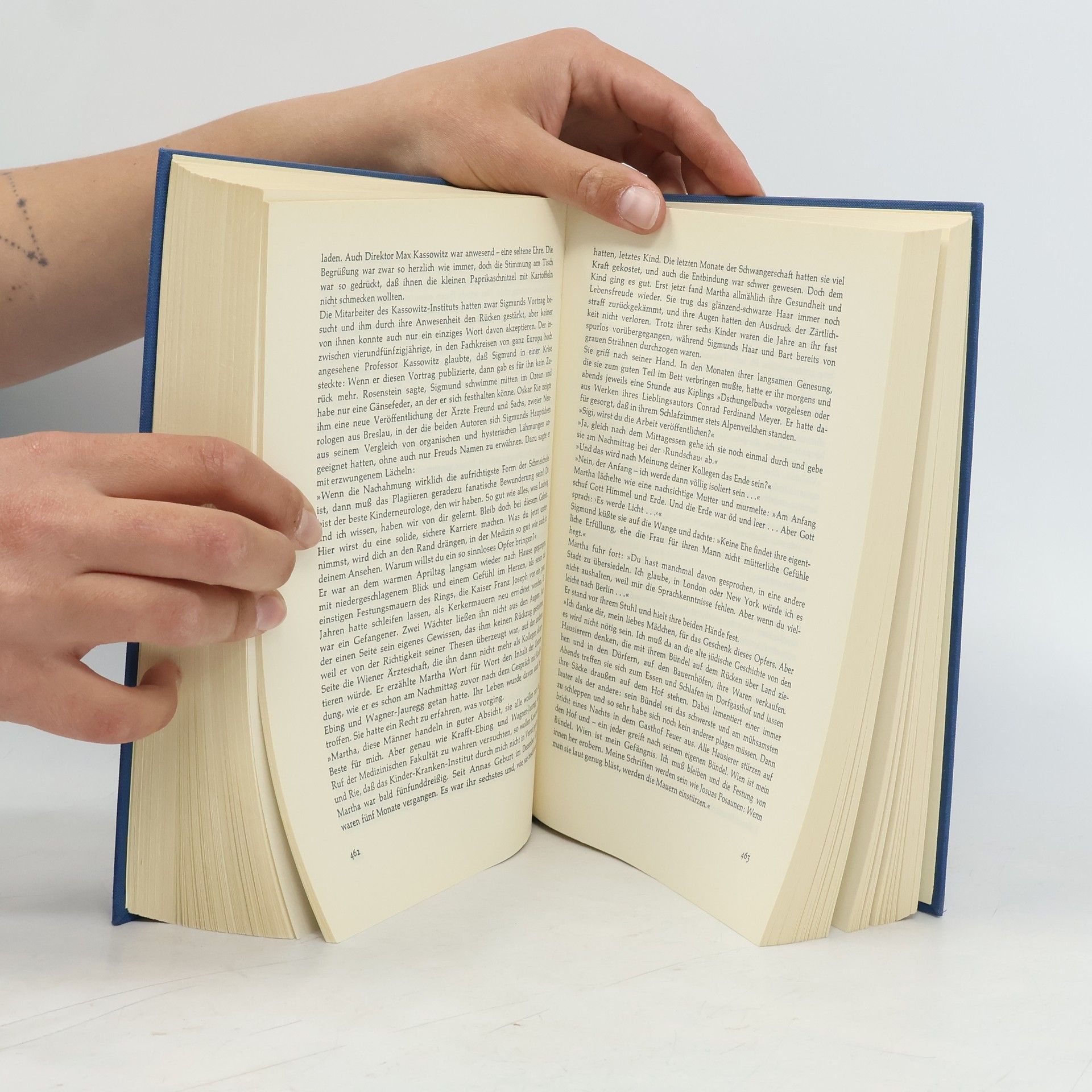 Irving Stone Der Seele dunkle Pfade