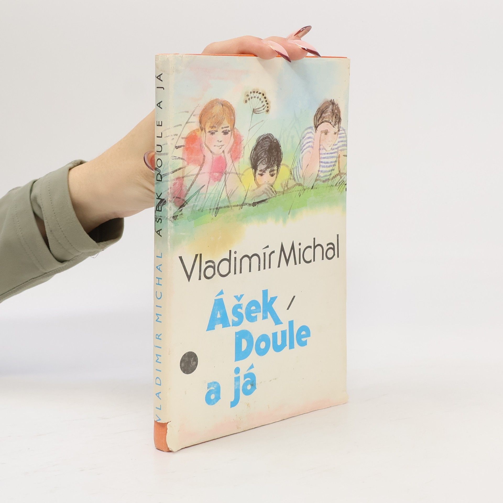 Vladimír Michal Ášek, Doule a já