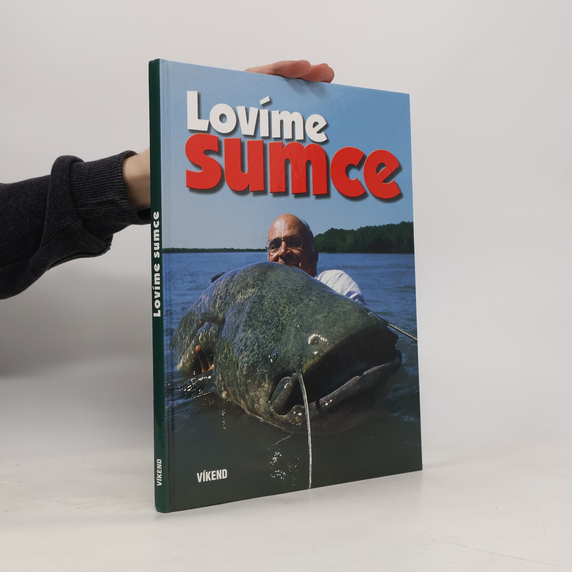 Kolektiv autorů Lovíme sumce