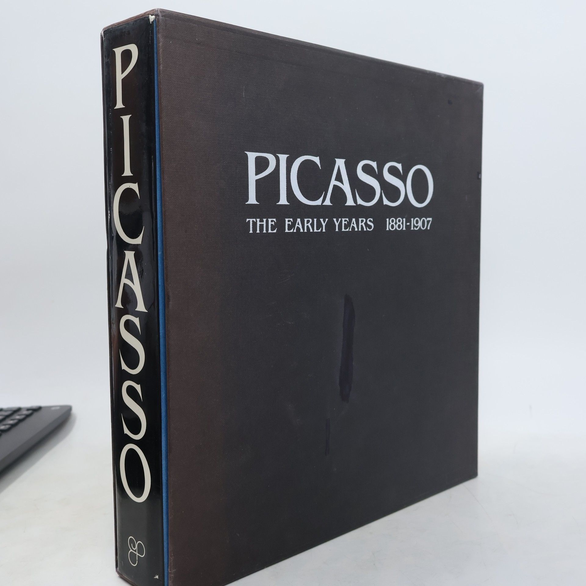 Josep Palau i Fabre Picasso