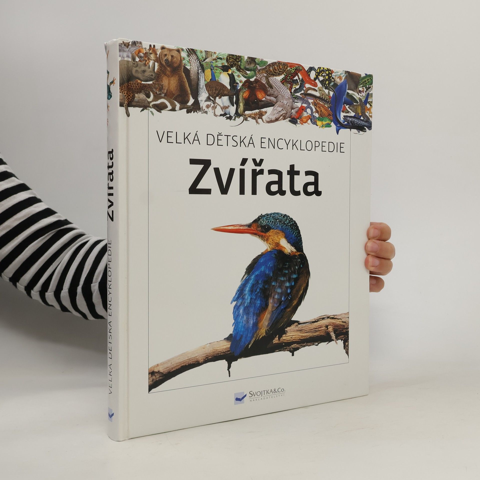 Autores varios Velká dětská encyklopedie: Zvířata
