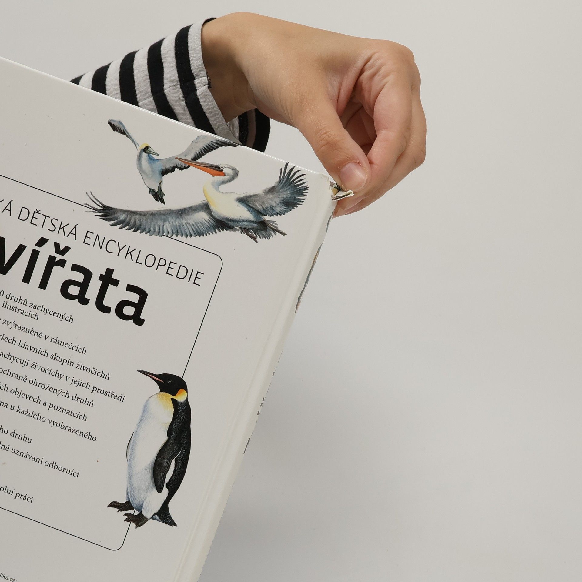 Autores varios Velká dětská encyklopedie: Zvířata