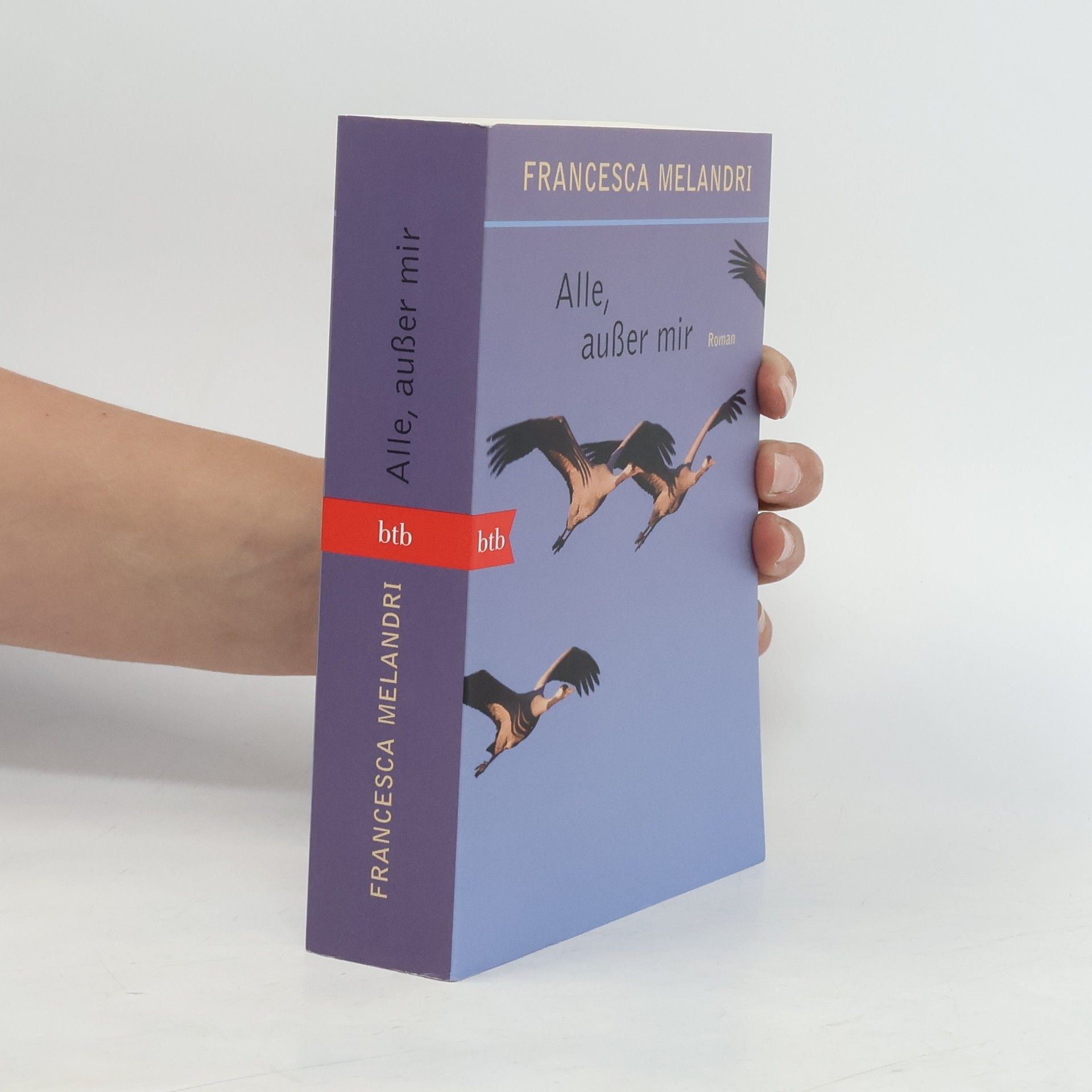 Francesca Melandri Alle, außer mir