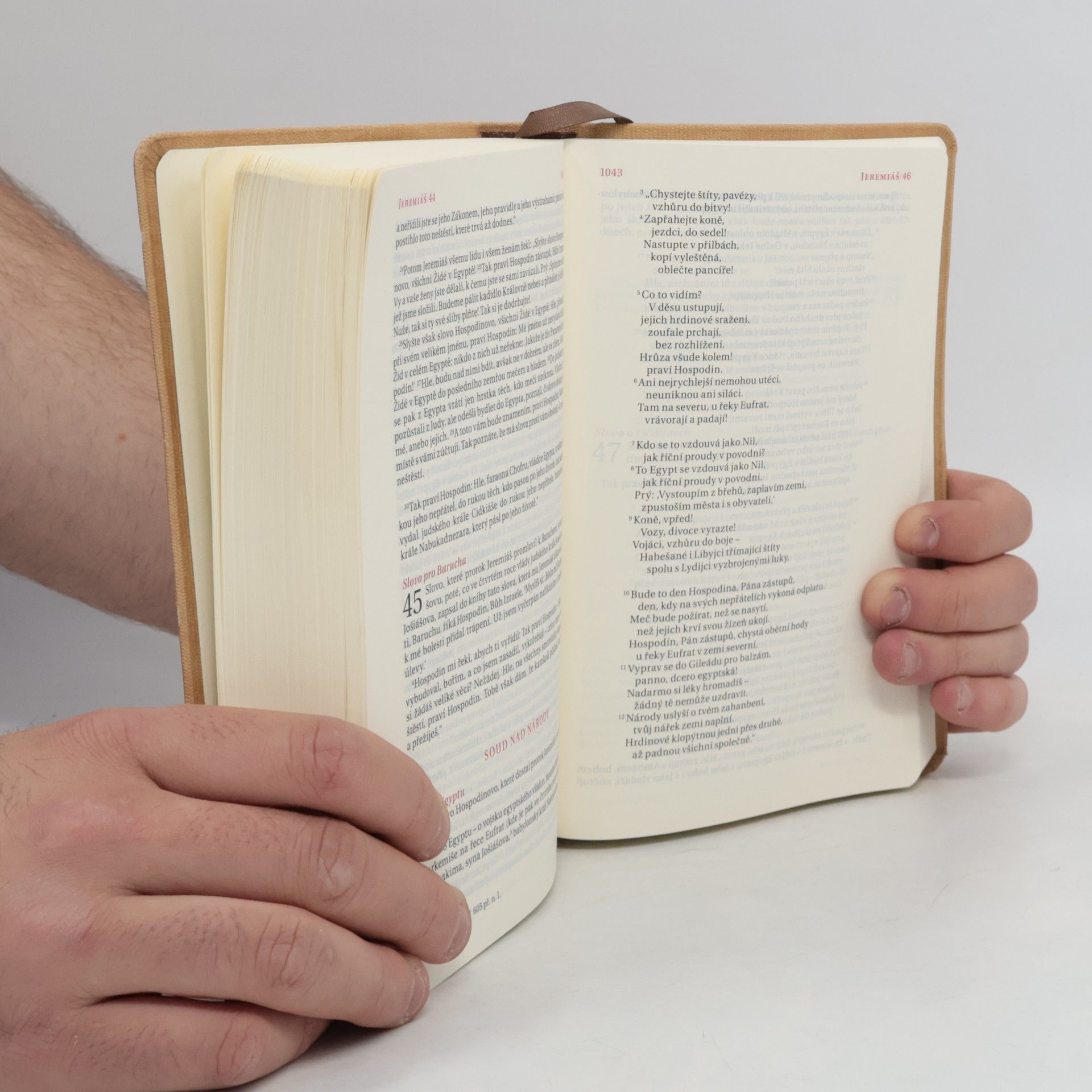 Alexandr Flek Bible. Překlad 21. století