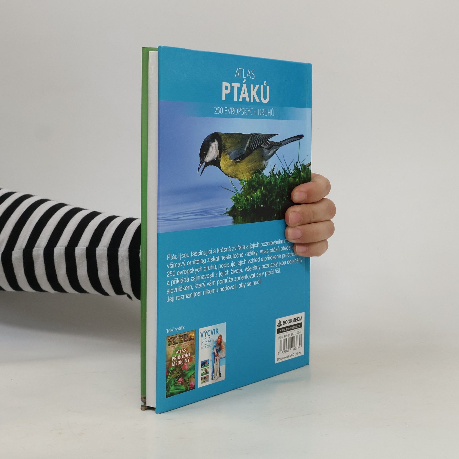 Dominik Marchowski Atlas ptáků : 250 evropských druhů