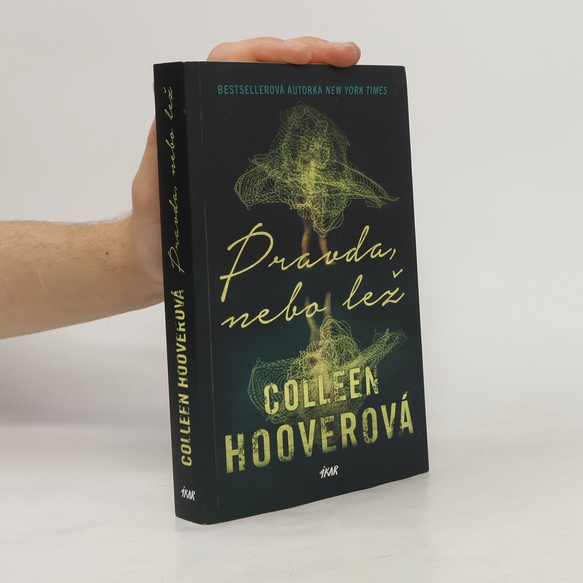 Colleen Hoover Pravda, nebo lež