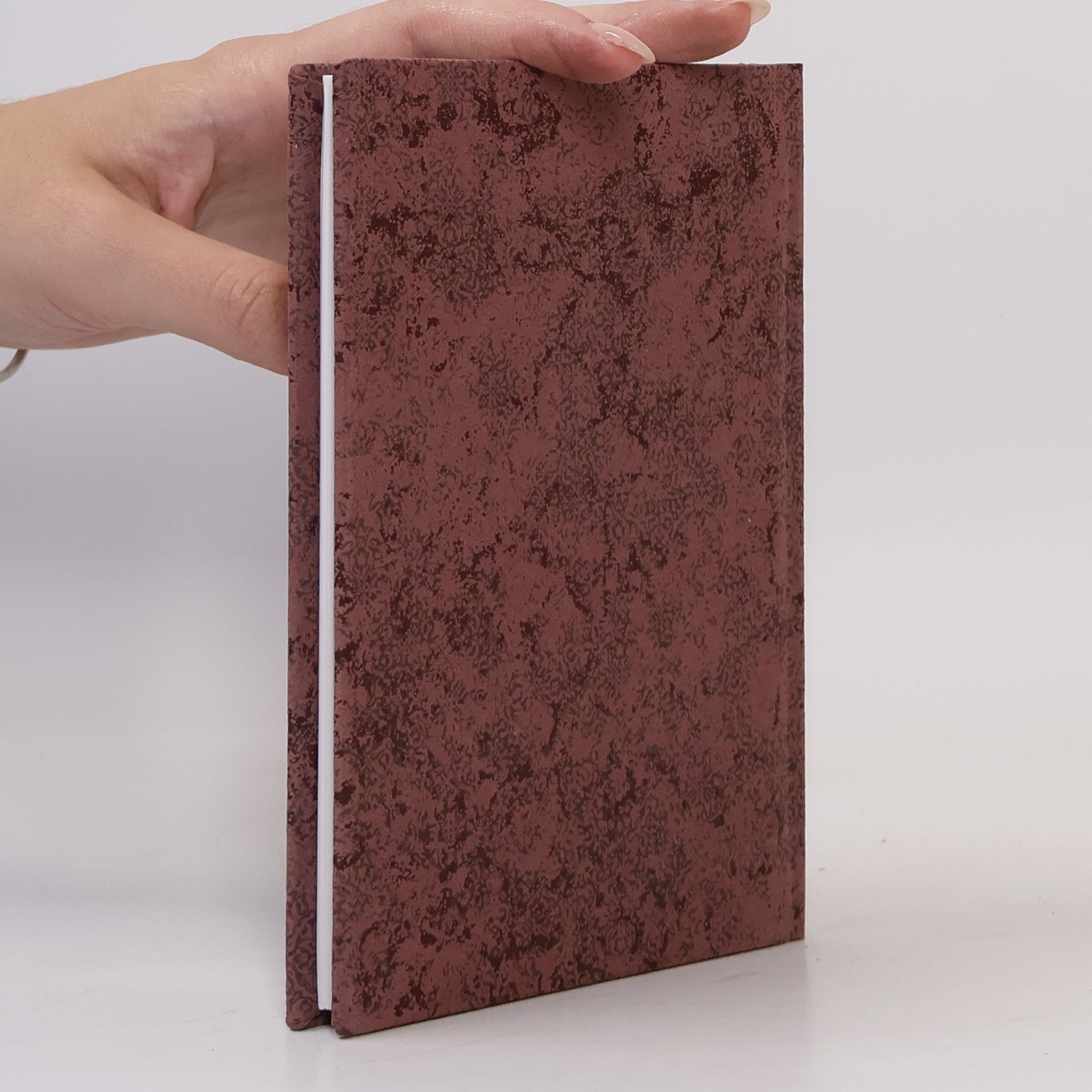 Alexandre Dumas starší Dobrodružství hraběte Lydericha