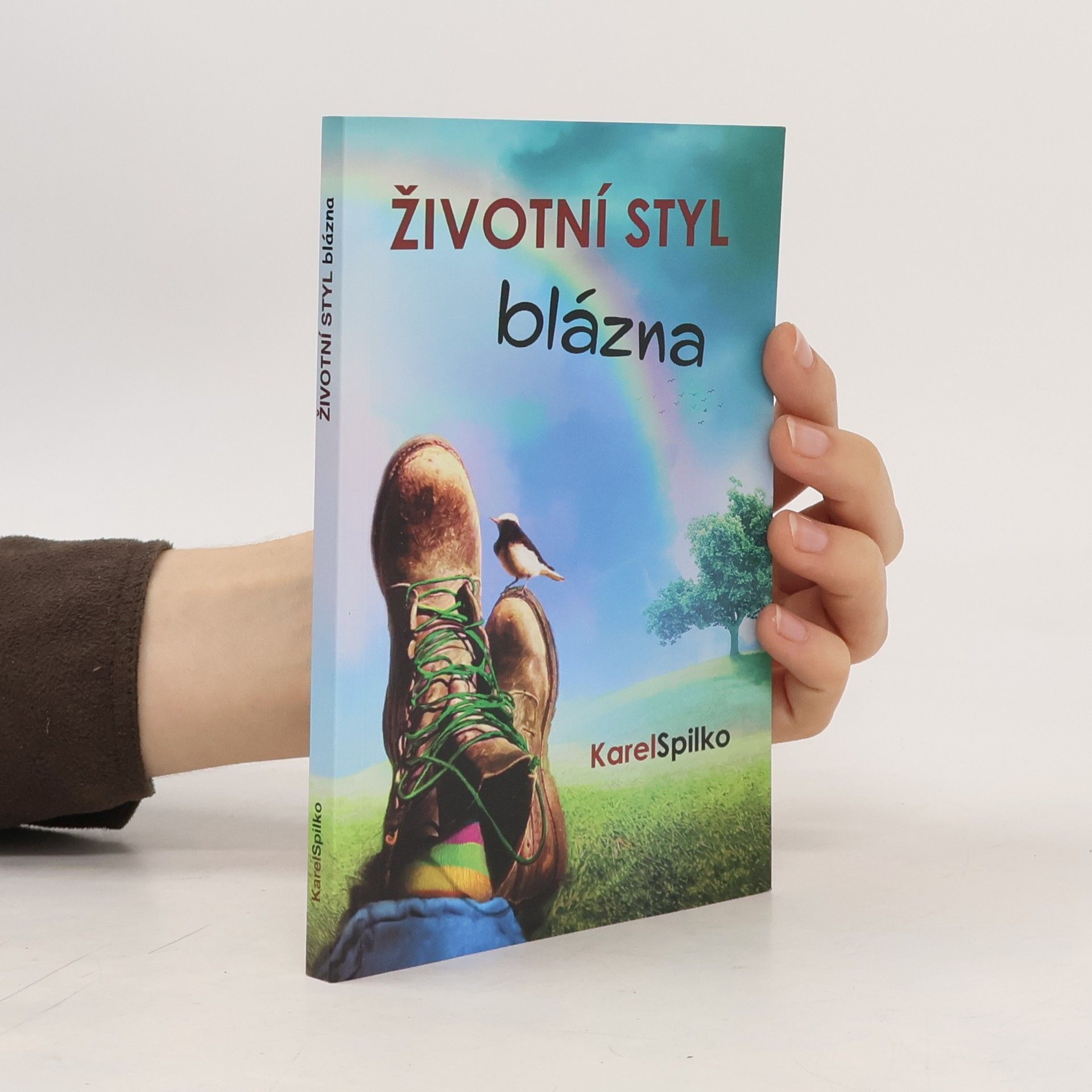 Životní styl blázna