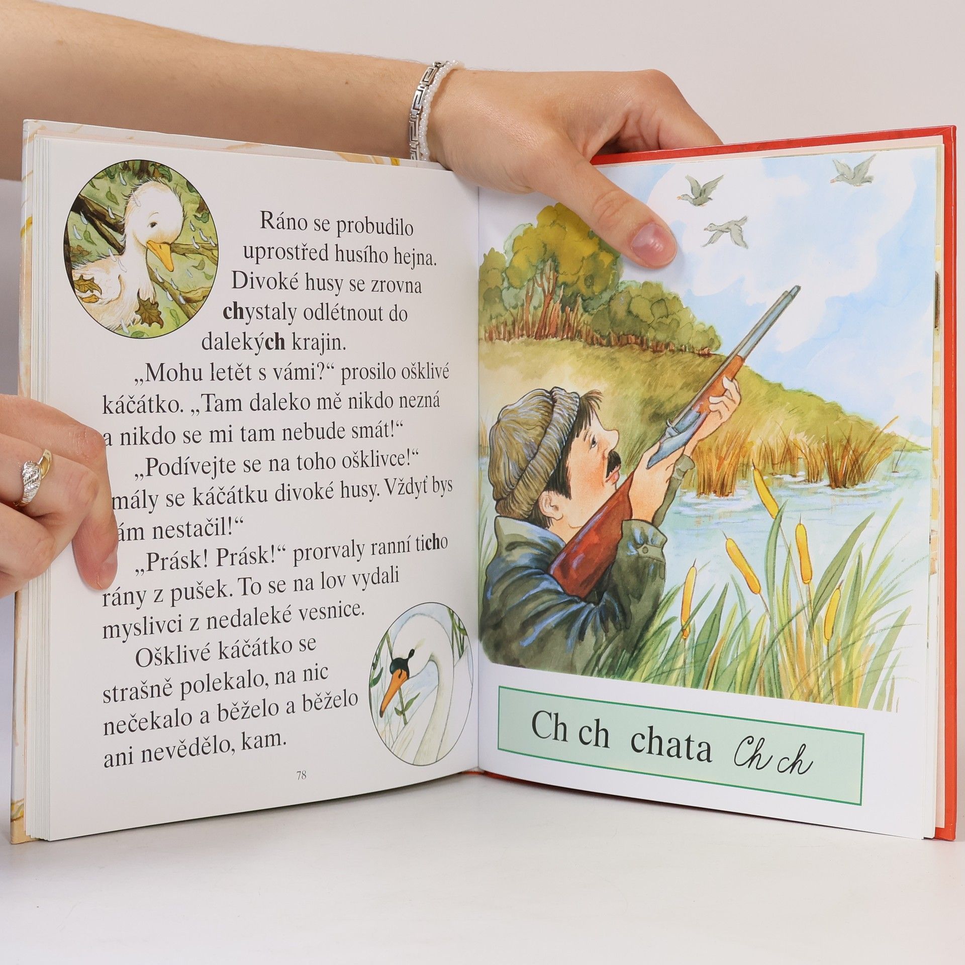 Kateřina Závadová Šípková Růženka a jiné pohádky