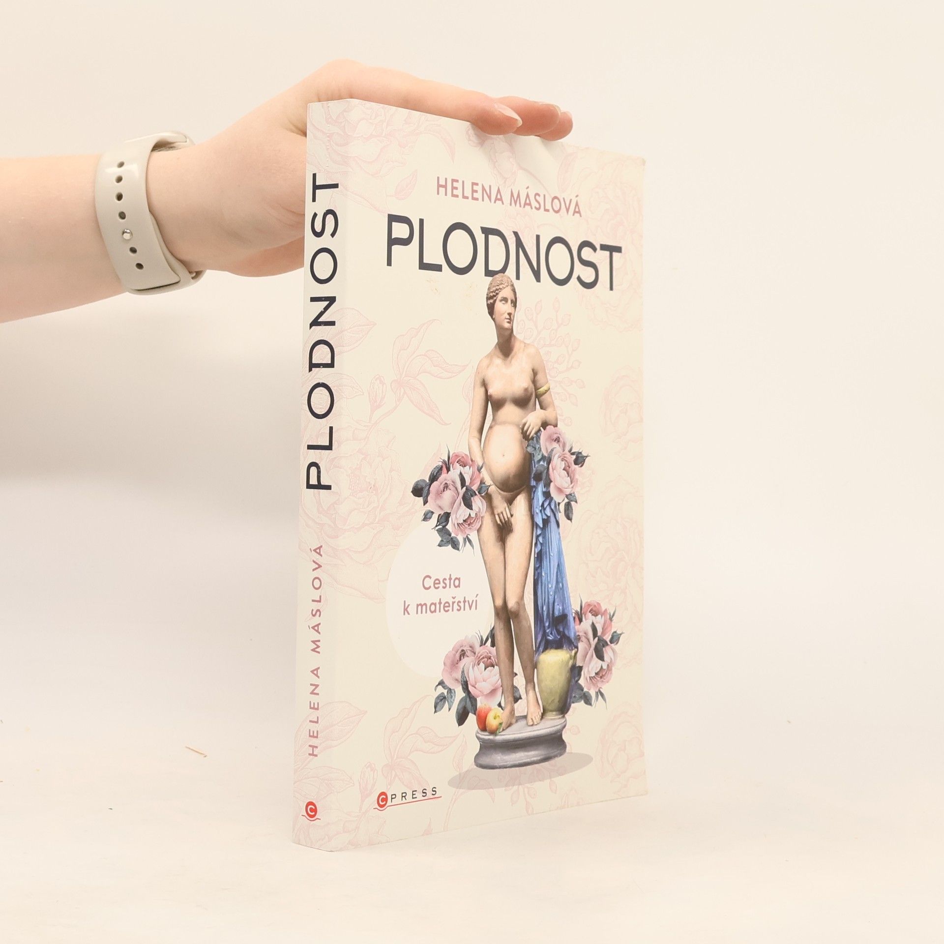 Helena Máslová Plodnost : cesta k mateřství