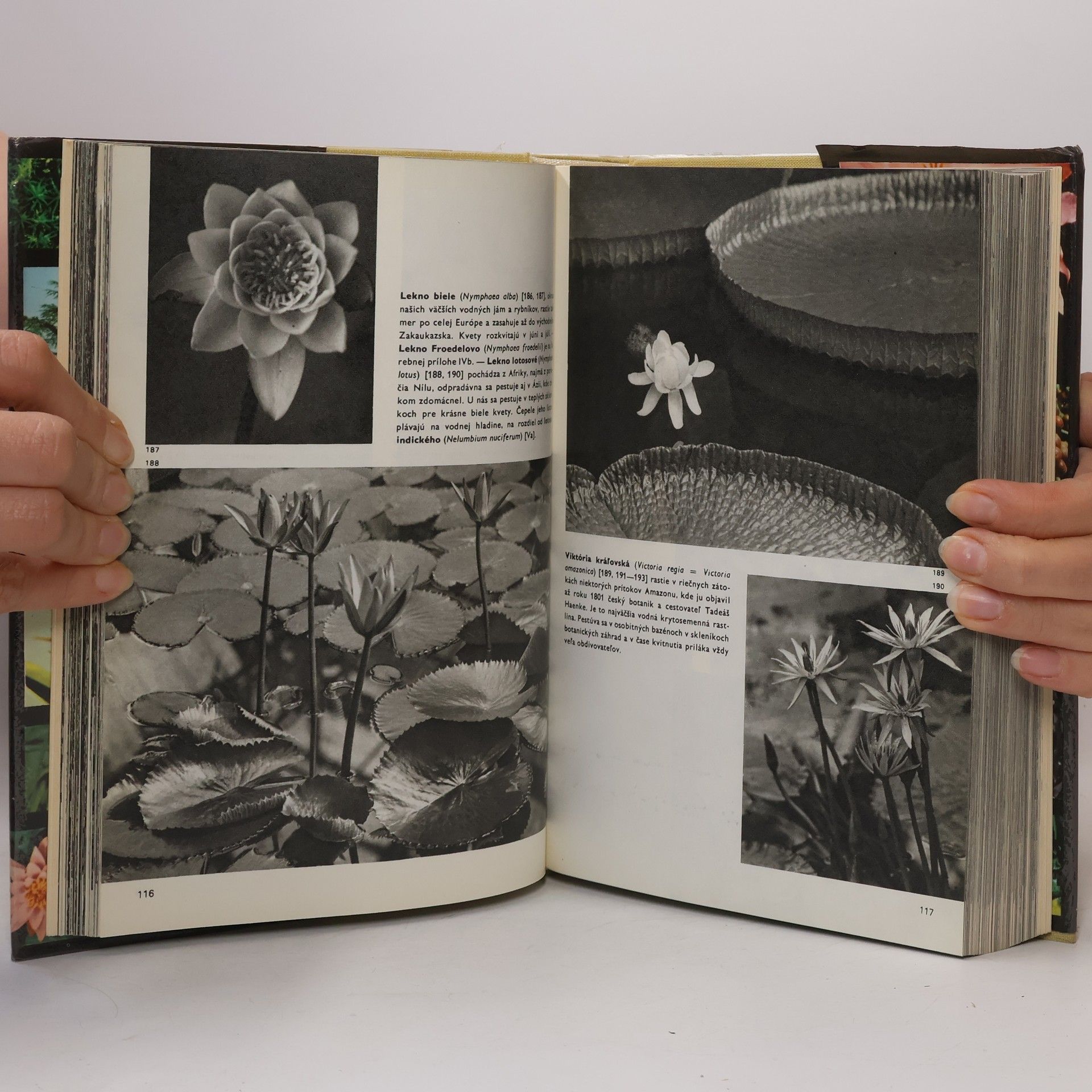 Novák F. A. Velký obrazový atlas rastlín