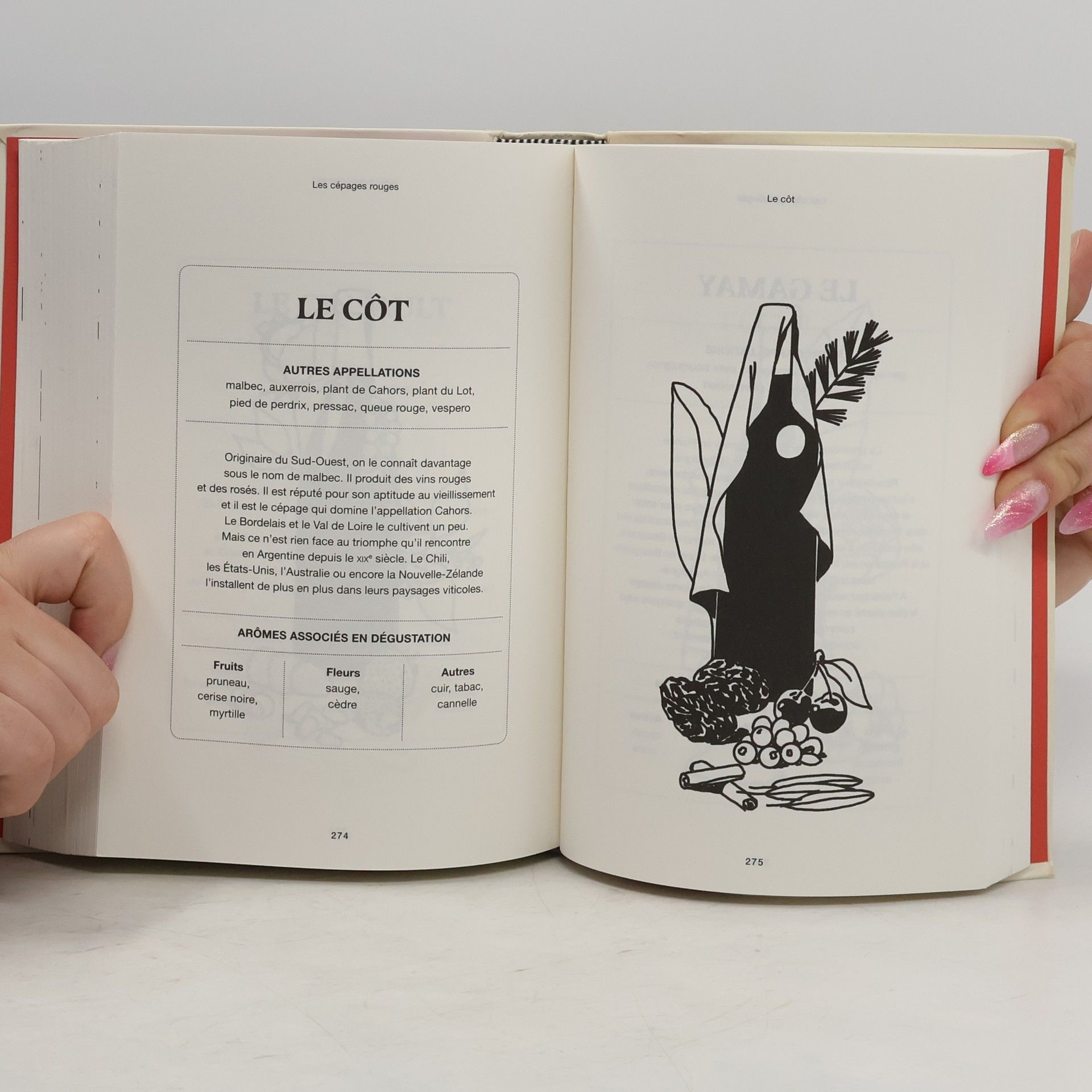 Gwilherm de Cerval Le petit livre du sommelier