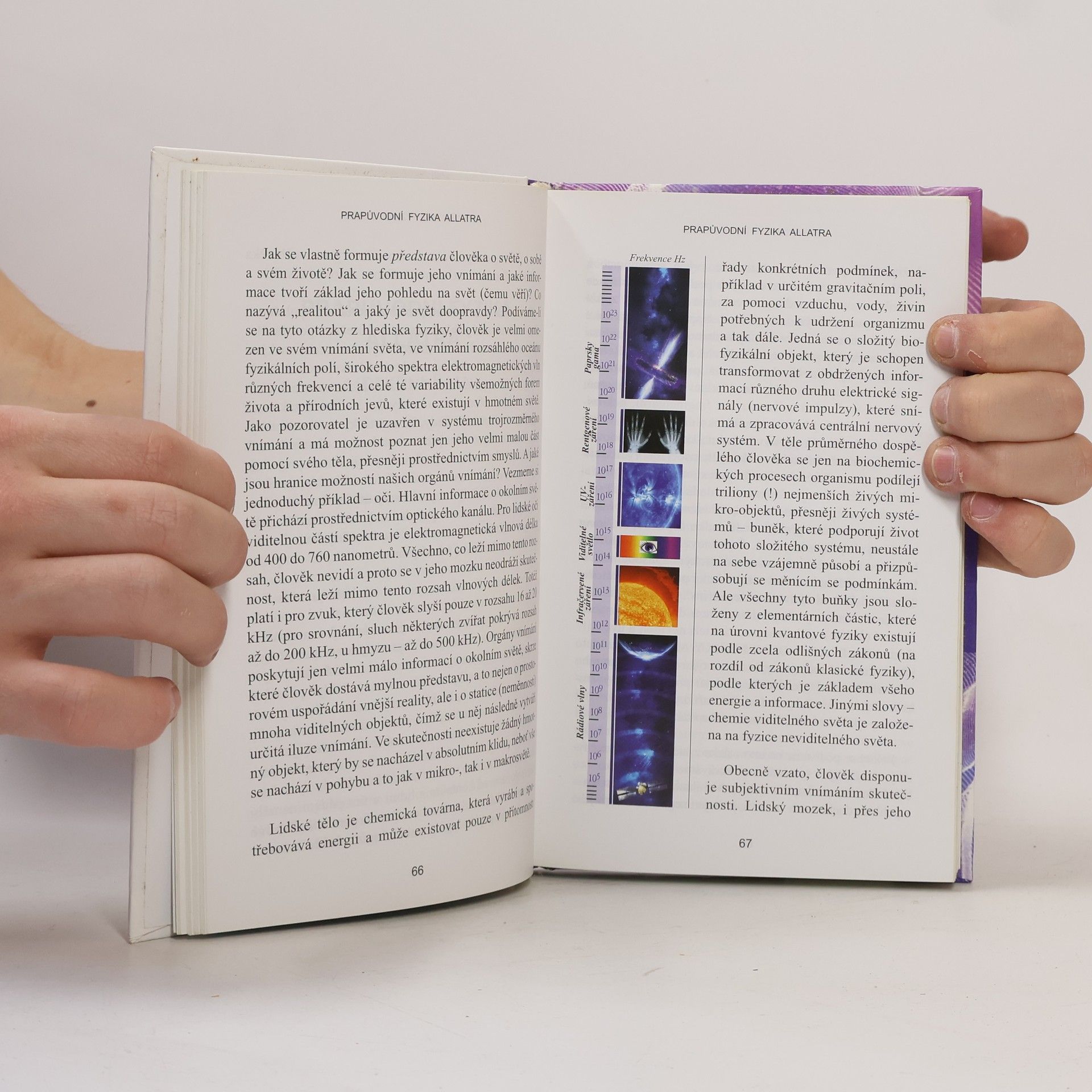 Various authors Fyzika Allatra