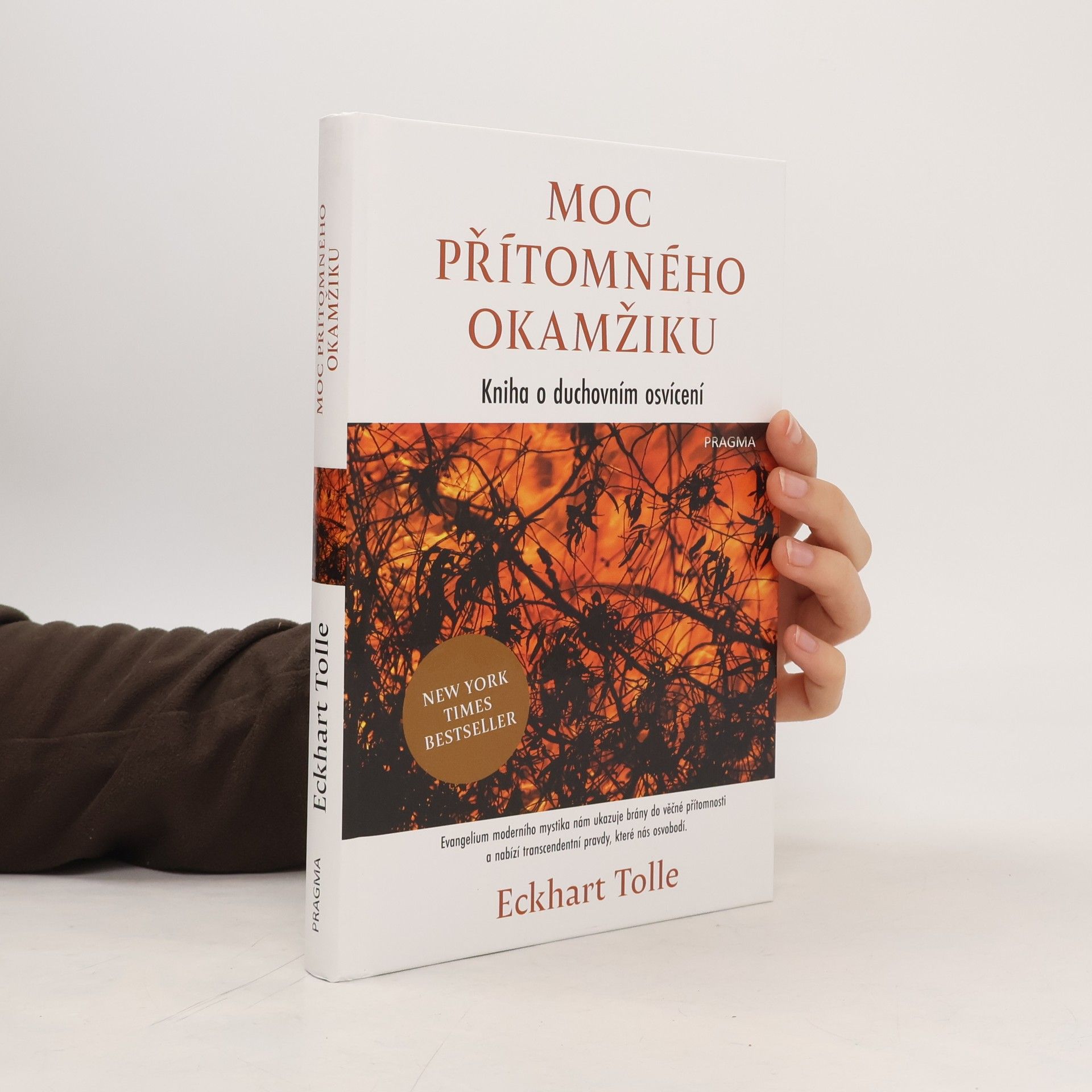 Eckhart Tolle Moc přítomného okamžiku