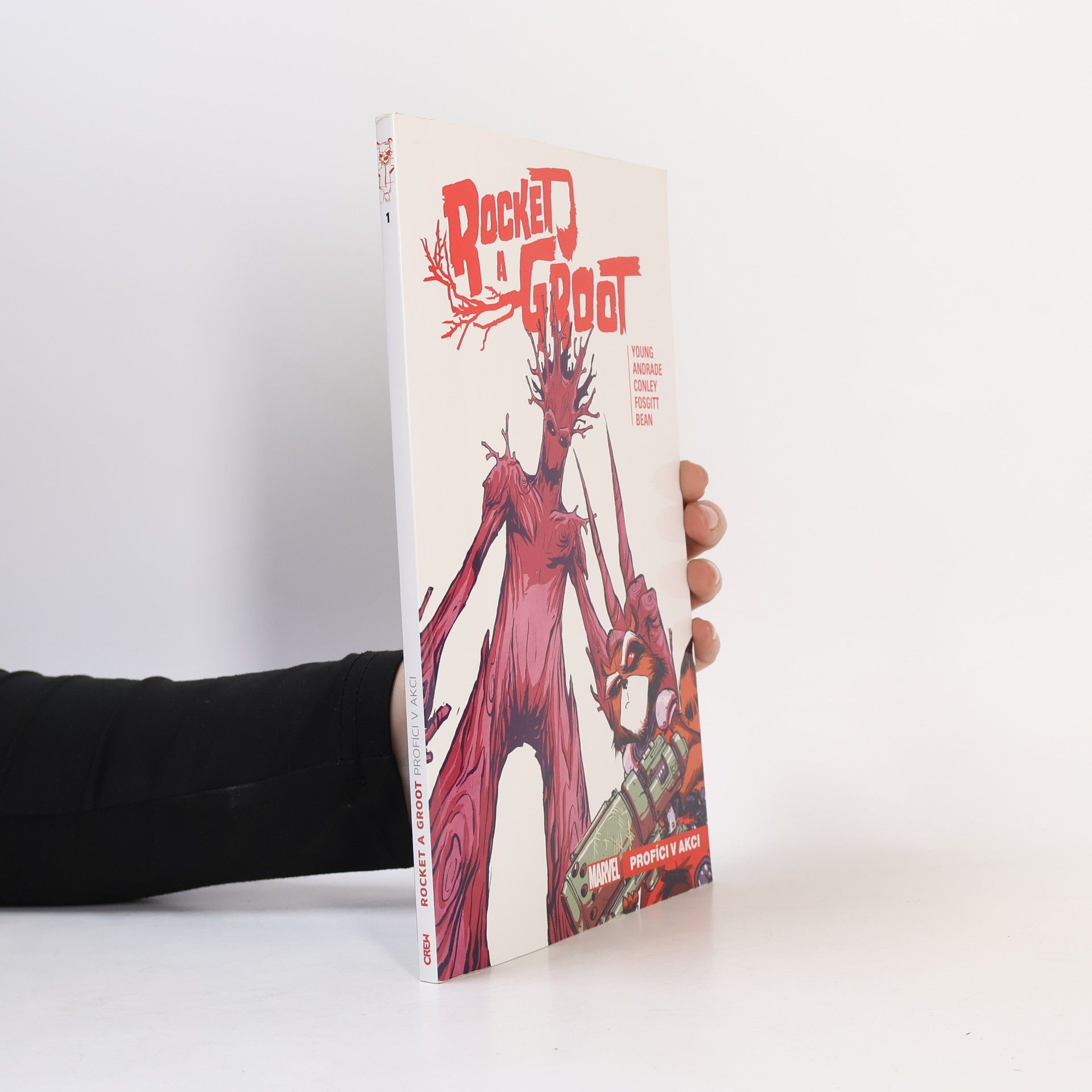 Skottie Young Rocket a Groot. Profíci v akci