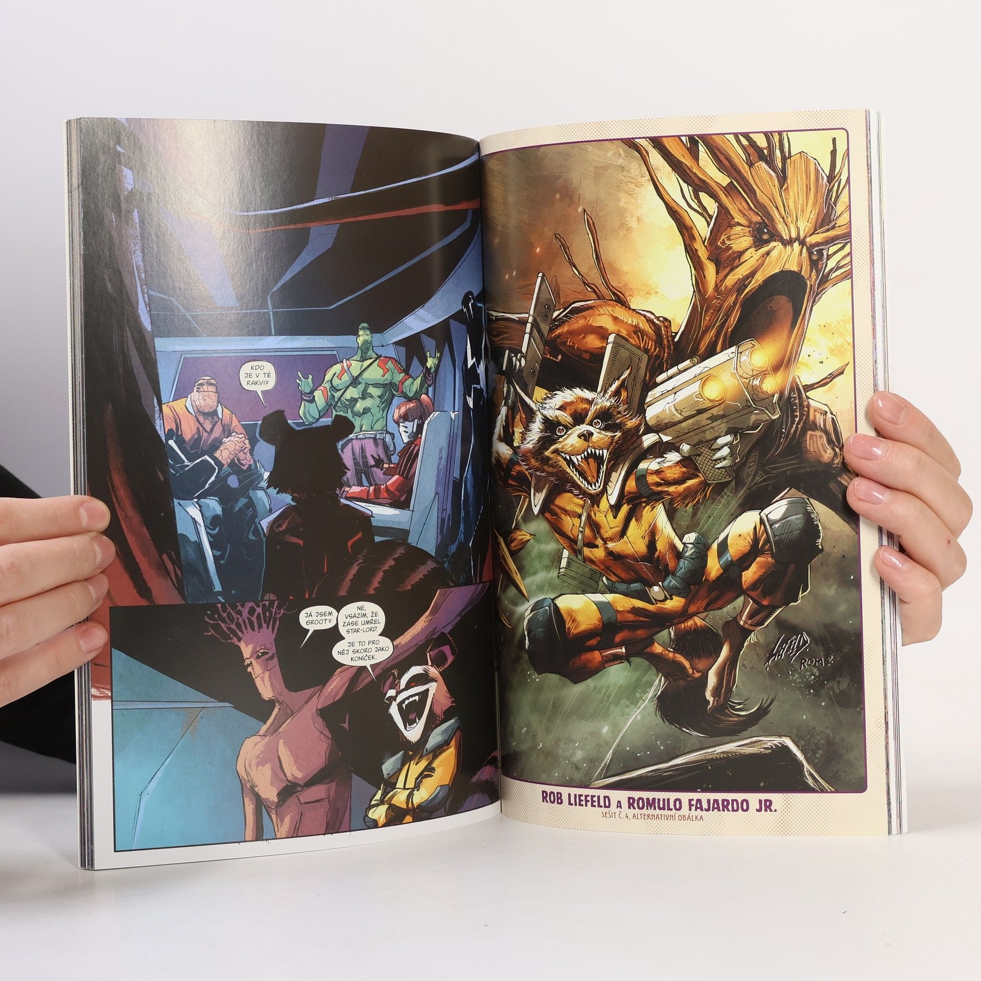 Skottie Young Rocket a Groot. Profíci v akci