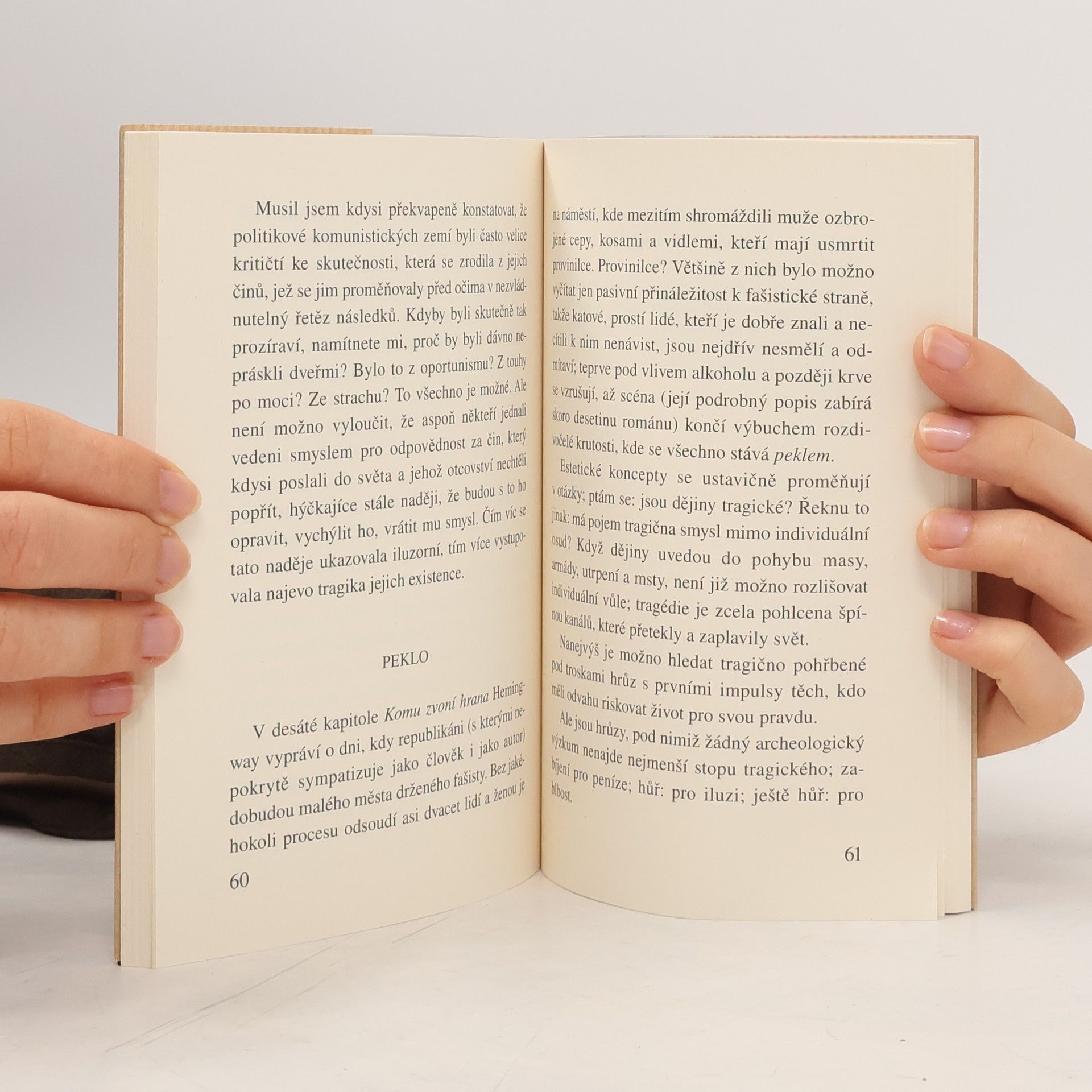 Milan Kundera Slova, pojmy, situace