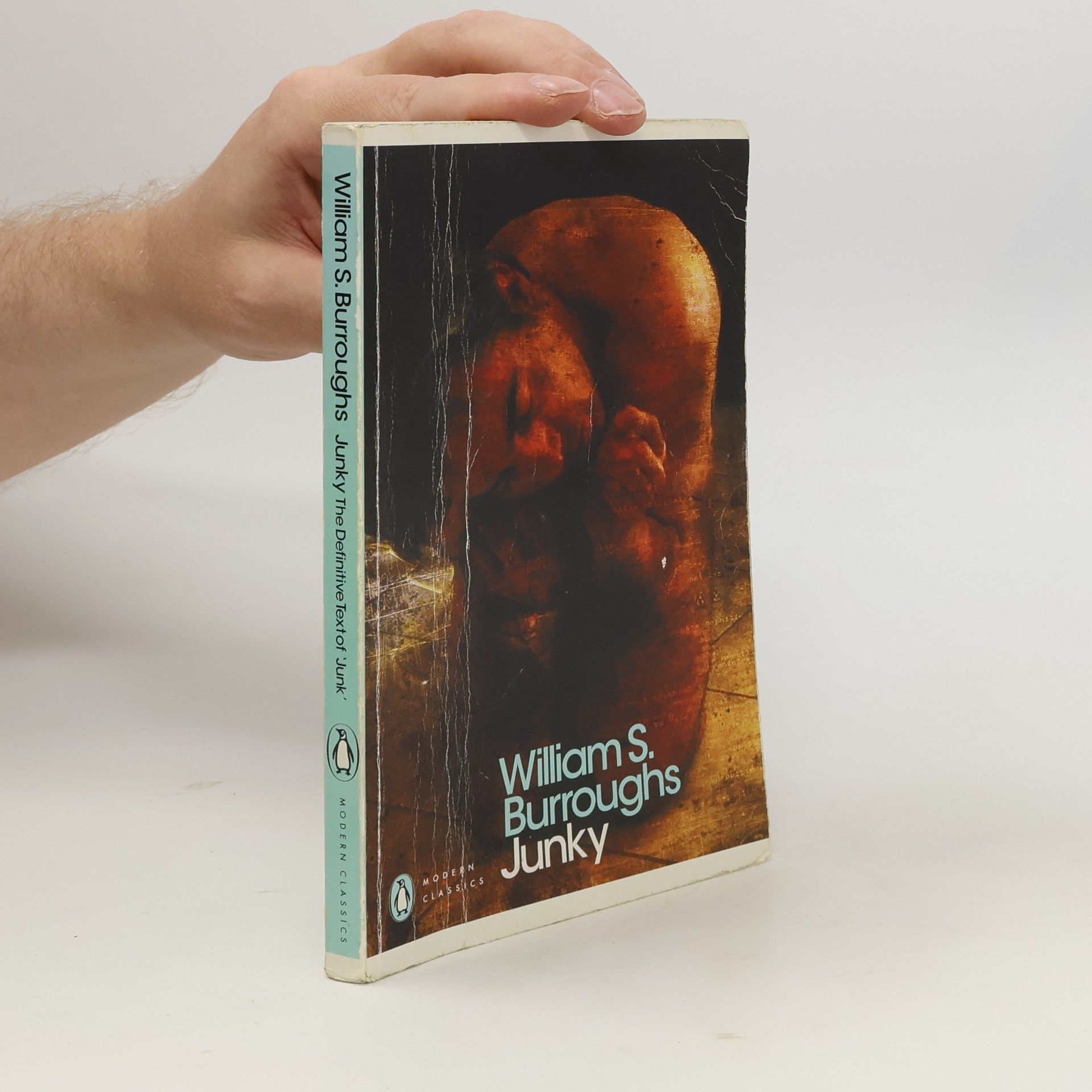 William S. Burroughs Junky : the definitive text of "Junk"
