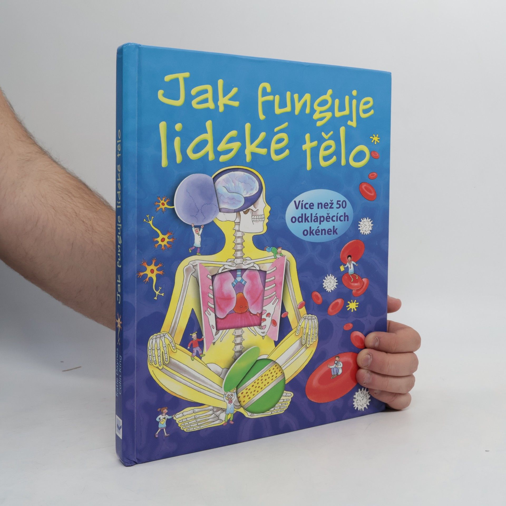 Katie Daynes Jak funguje lidské tělo