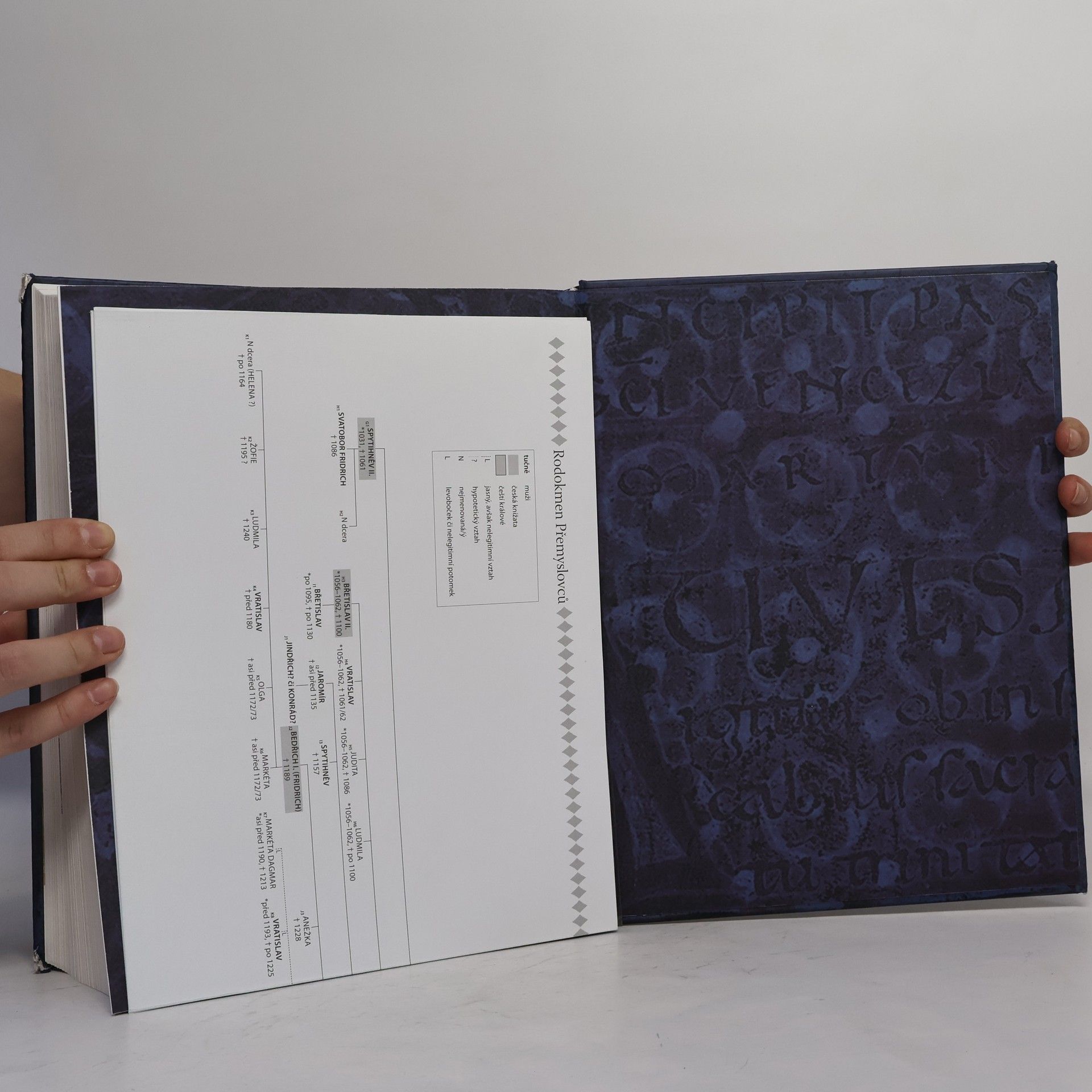 Autores varios Přemyslovci. Budování českého státu