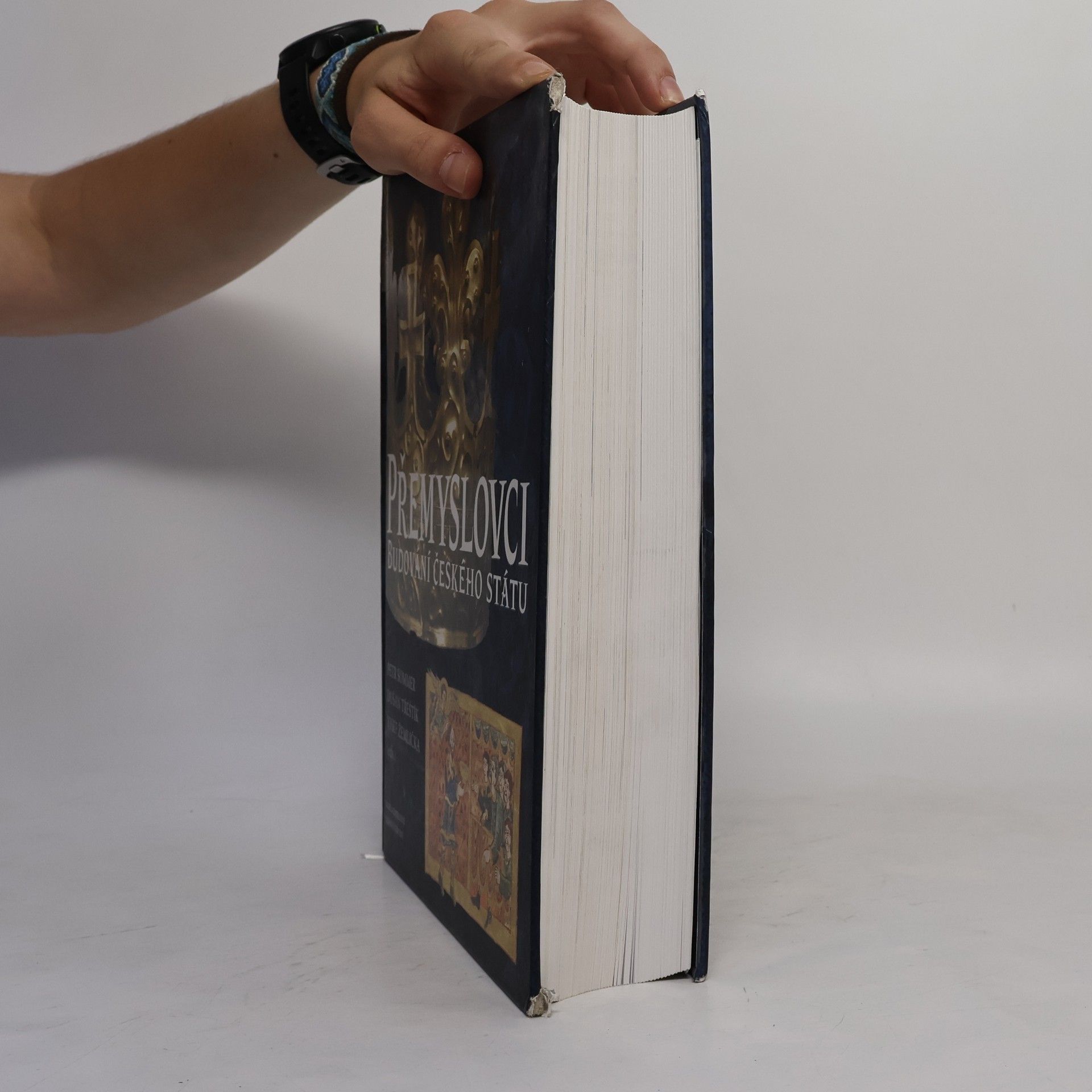 Autores varios Přemyslovci. Budování českého státu
