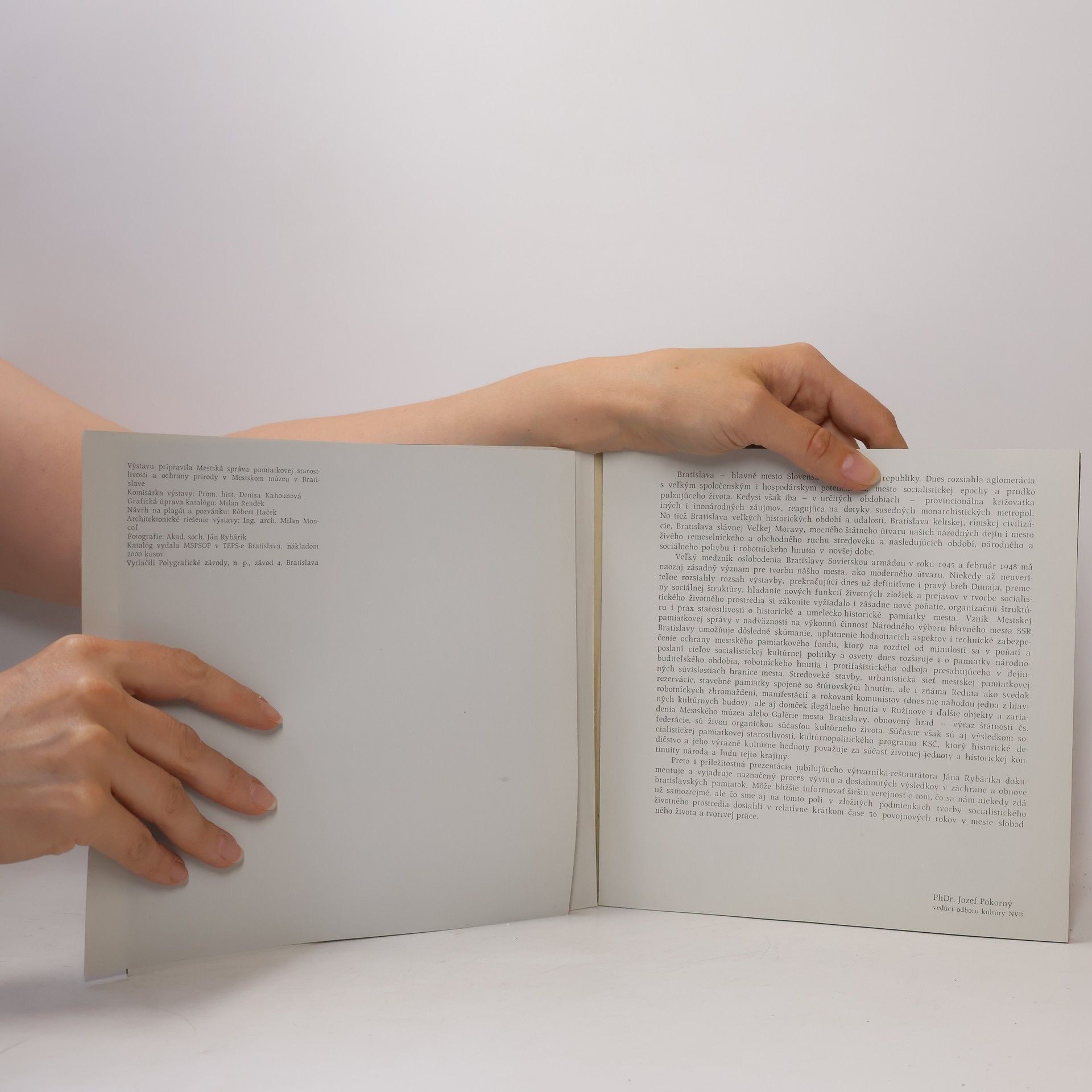 Autores varios Pamiatky Bratislavy v reštaurátorskej tvorbe Jána Rybárika
