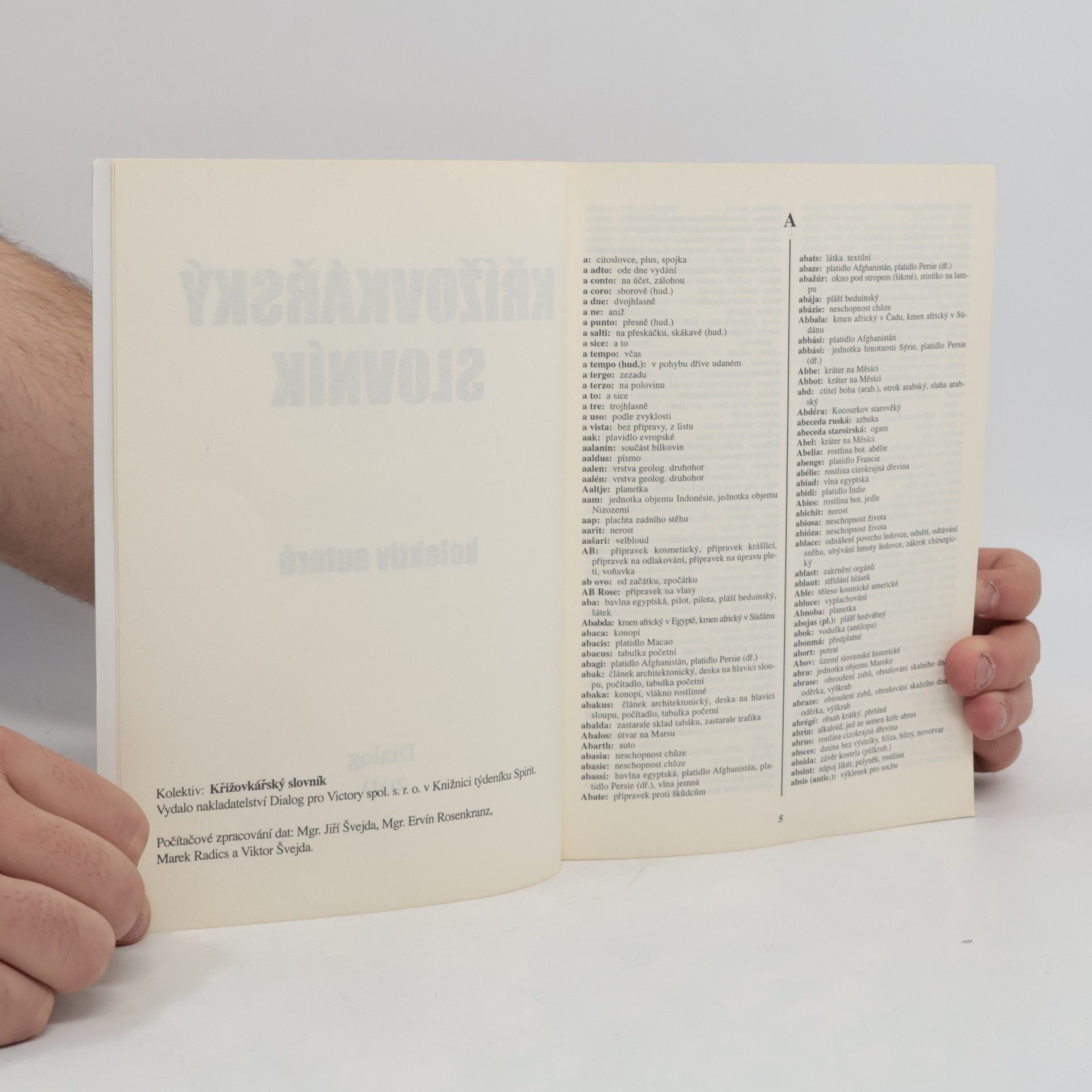 Autorenkollektiv Křížovkářský slovník