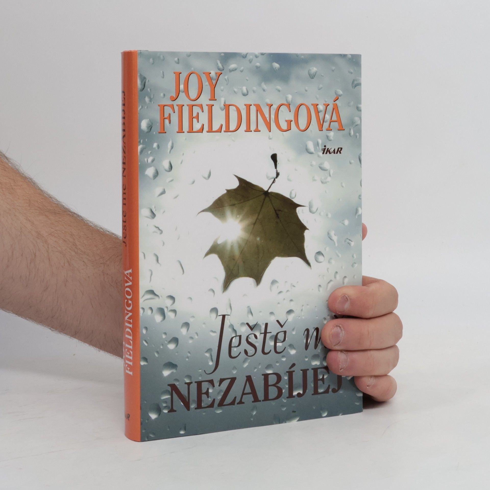 Joy Fielding Ještě mě nezabíjej
