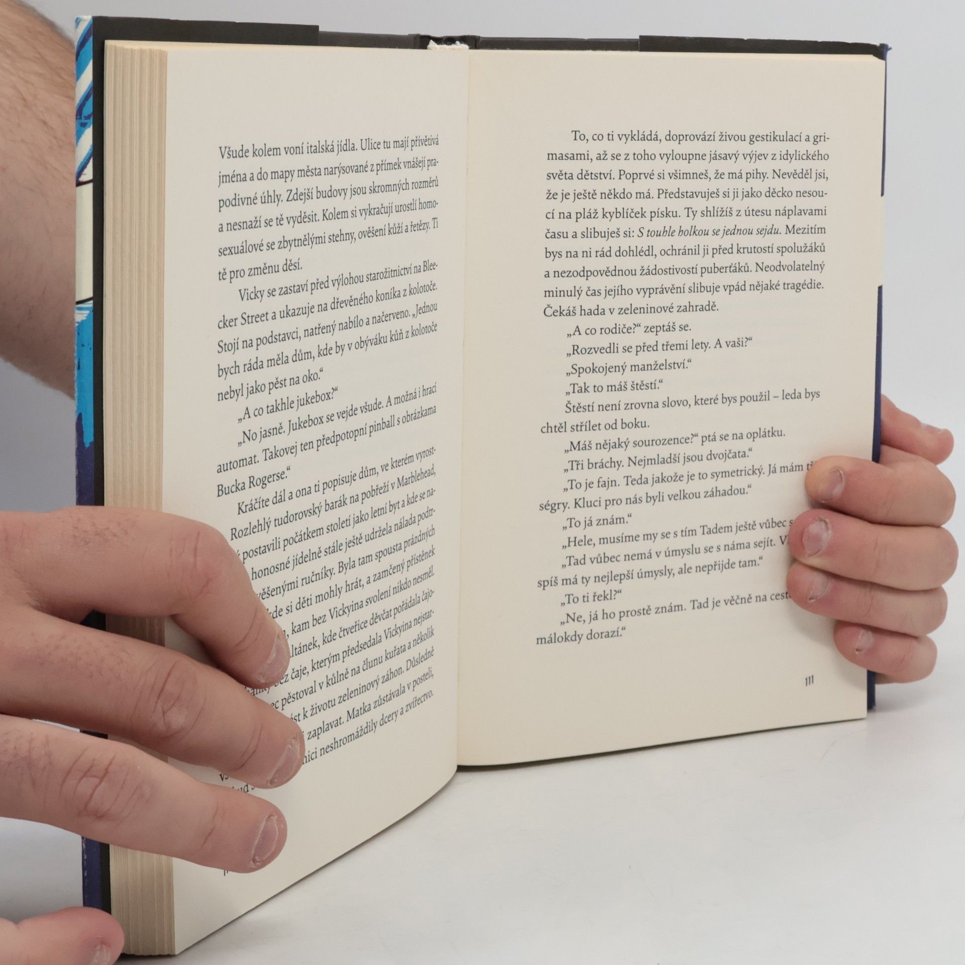 Jay McInerney Zářivá světla velkoměsta
