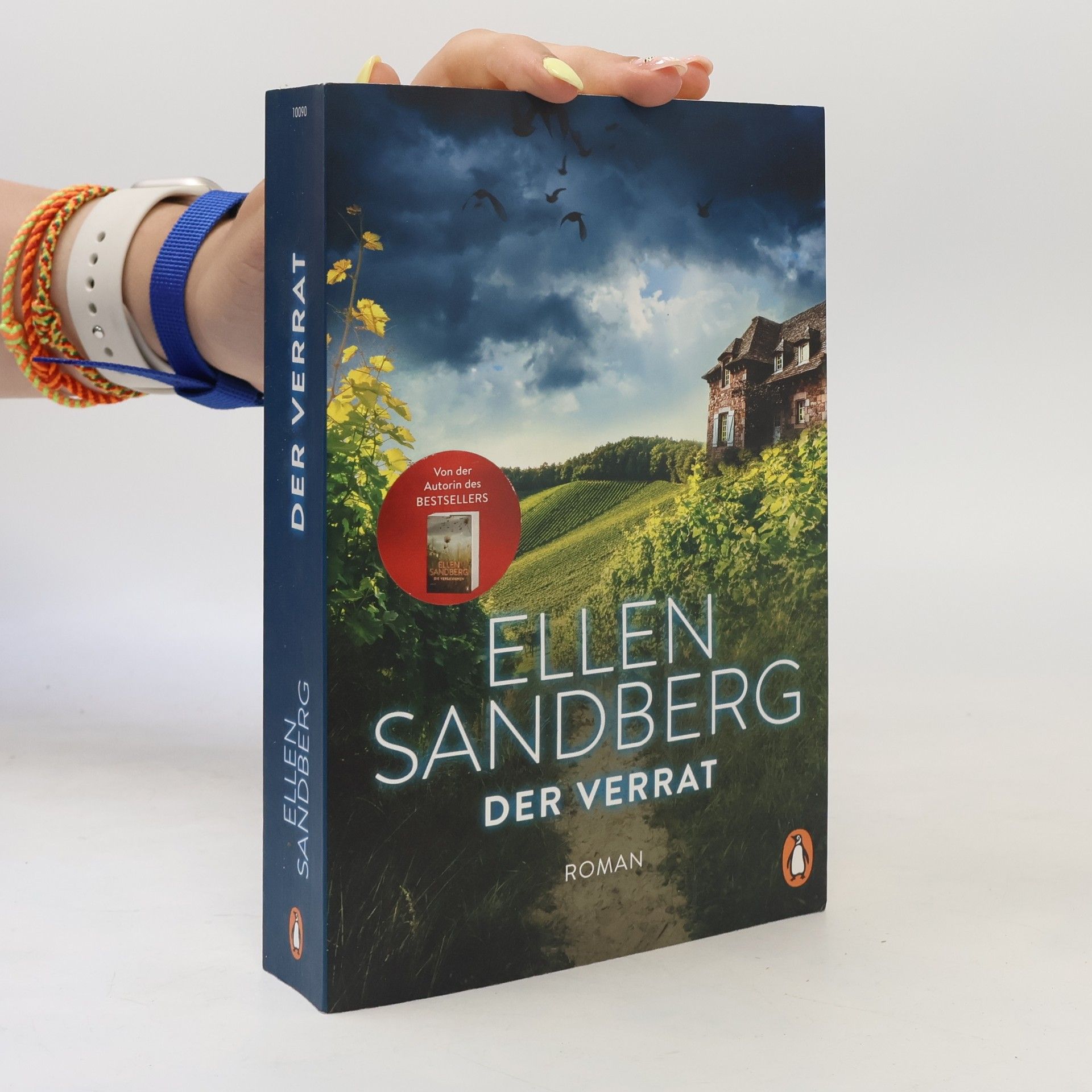 Ellen Sandberg Der Verrat