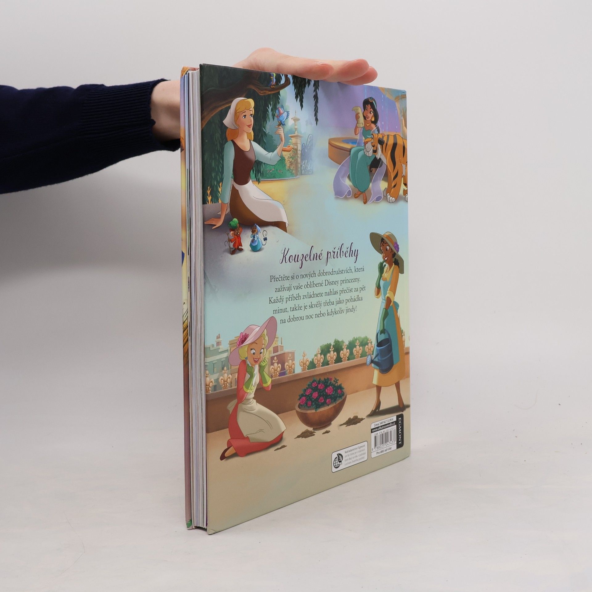Autorenkollektiv Disney princezna : 5minutové pohádky