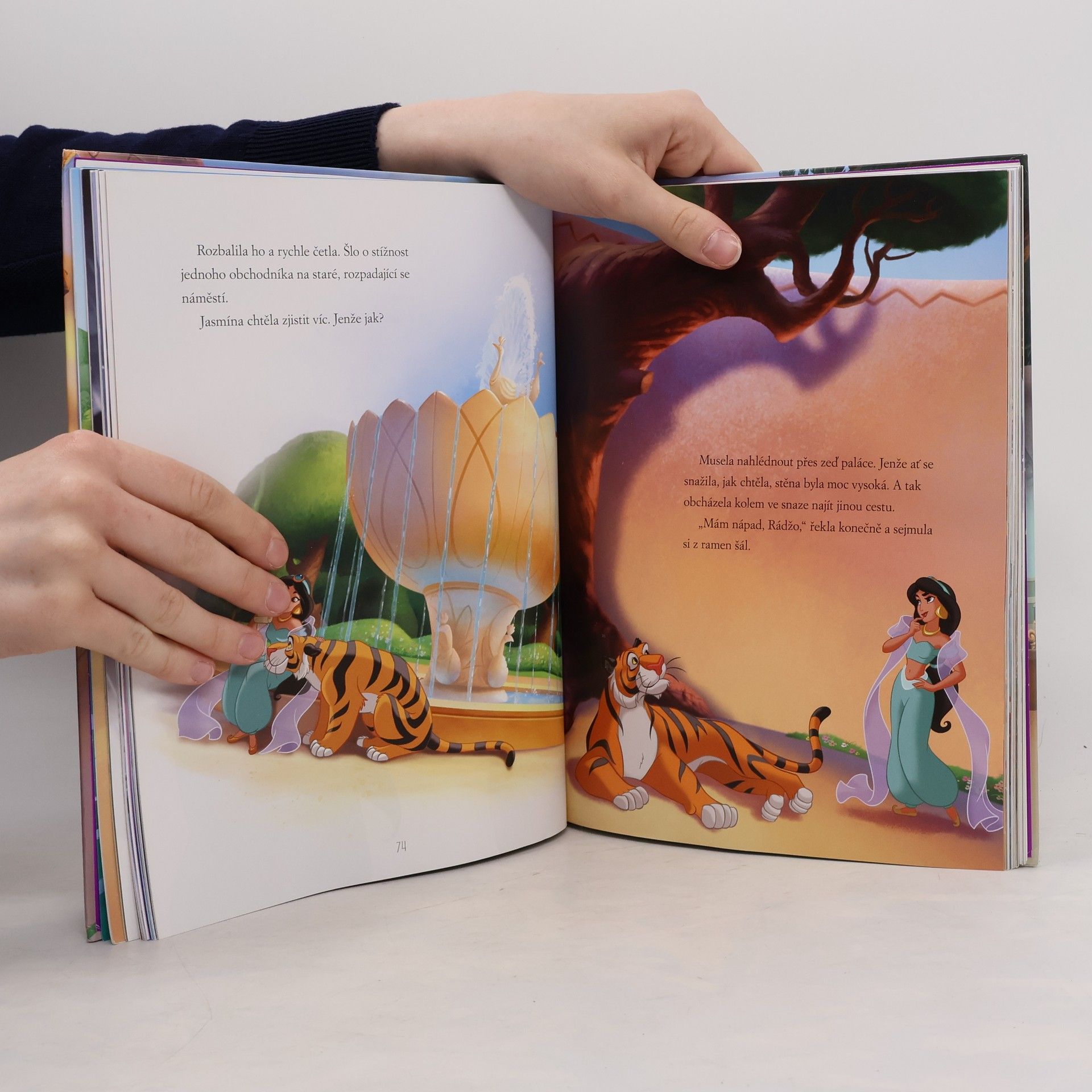 Autorenkollektiv Disney princezna : 5minutové pohádky