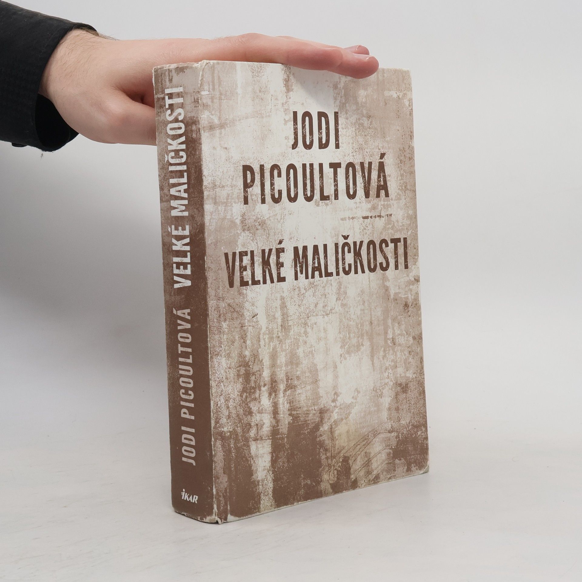 Jodi Picoult Velké maličkosti