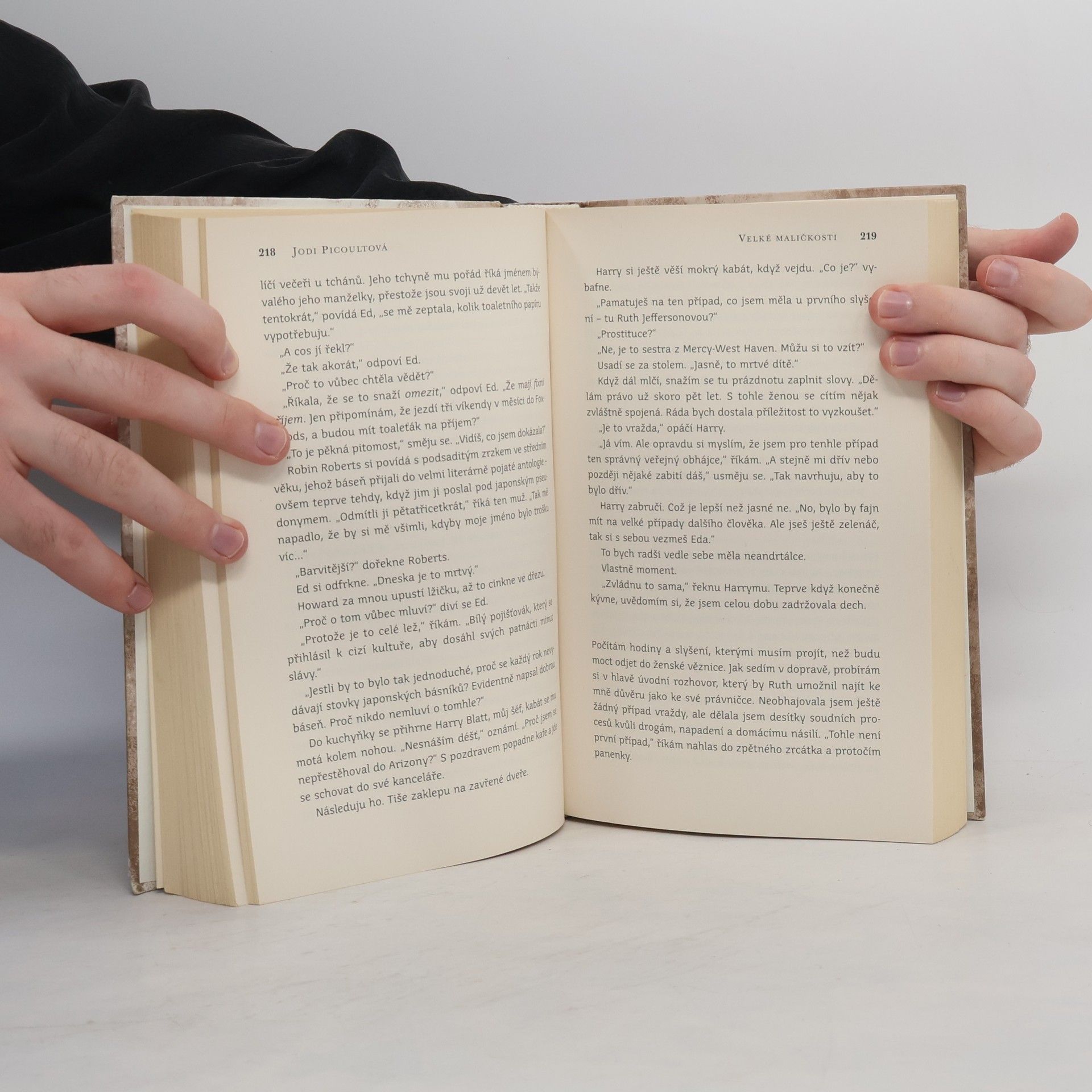 Jodi Picoult Velké maličkosti