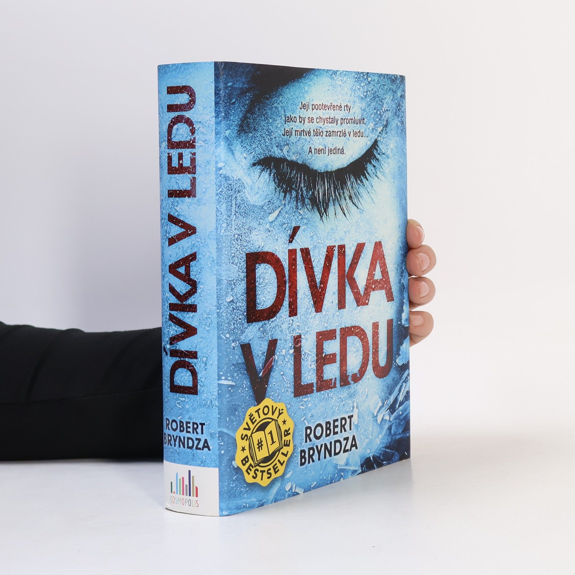 Robert Bryndza Dívka v ledu