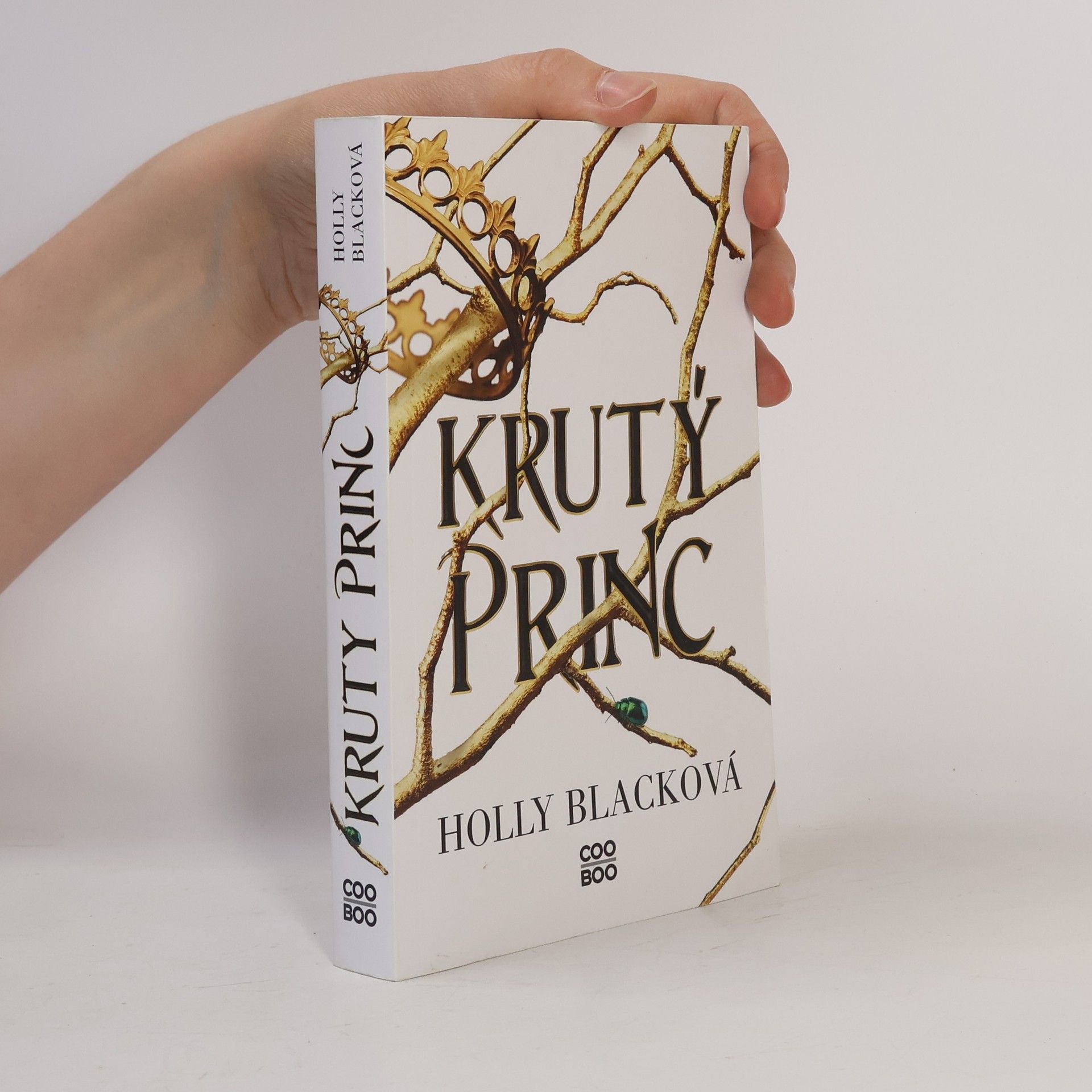 Holly Black Krutý princ