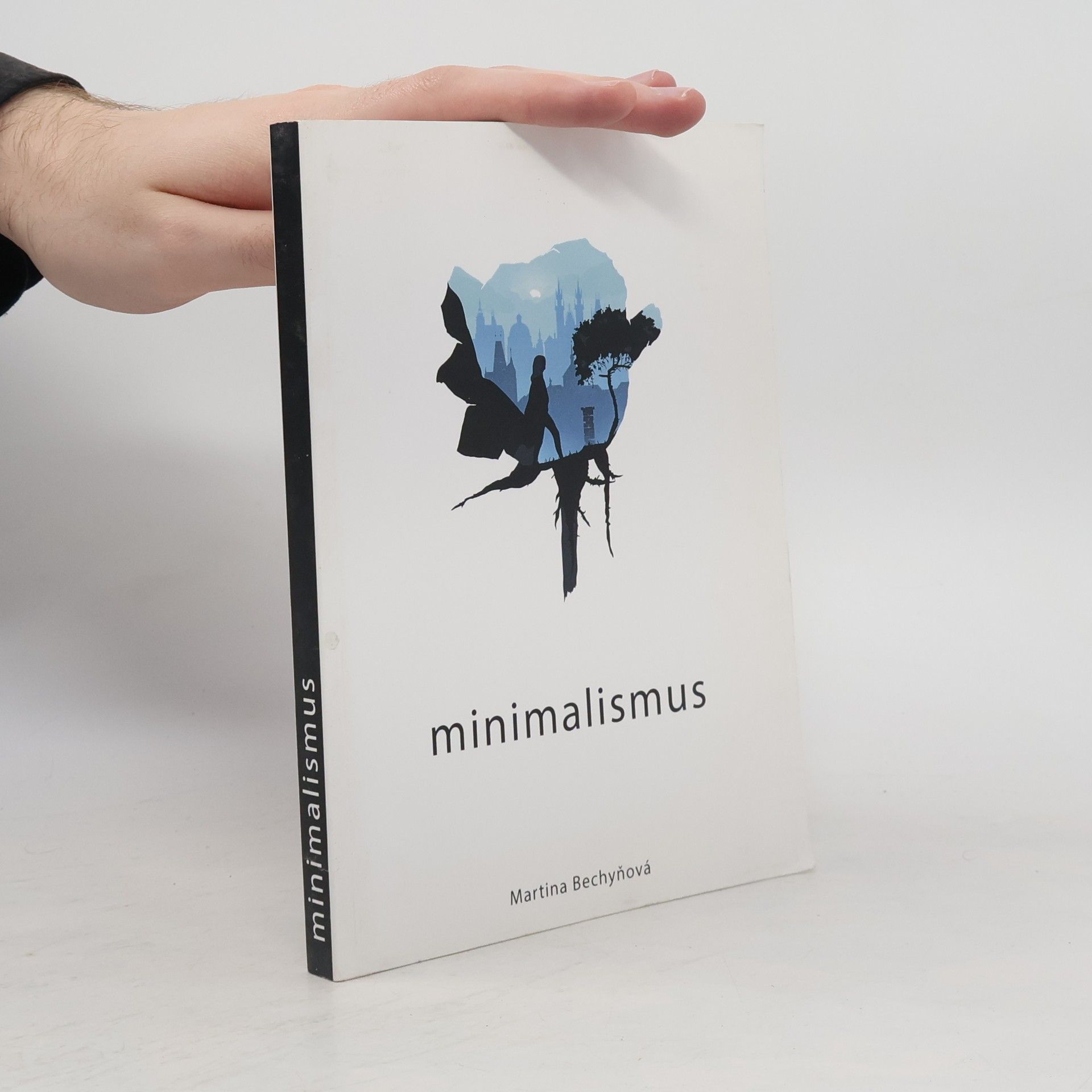Martina Bechyňová Minimalismus