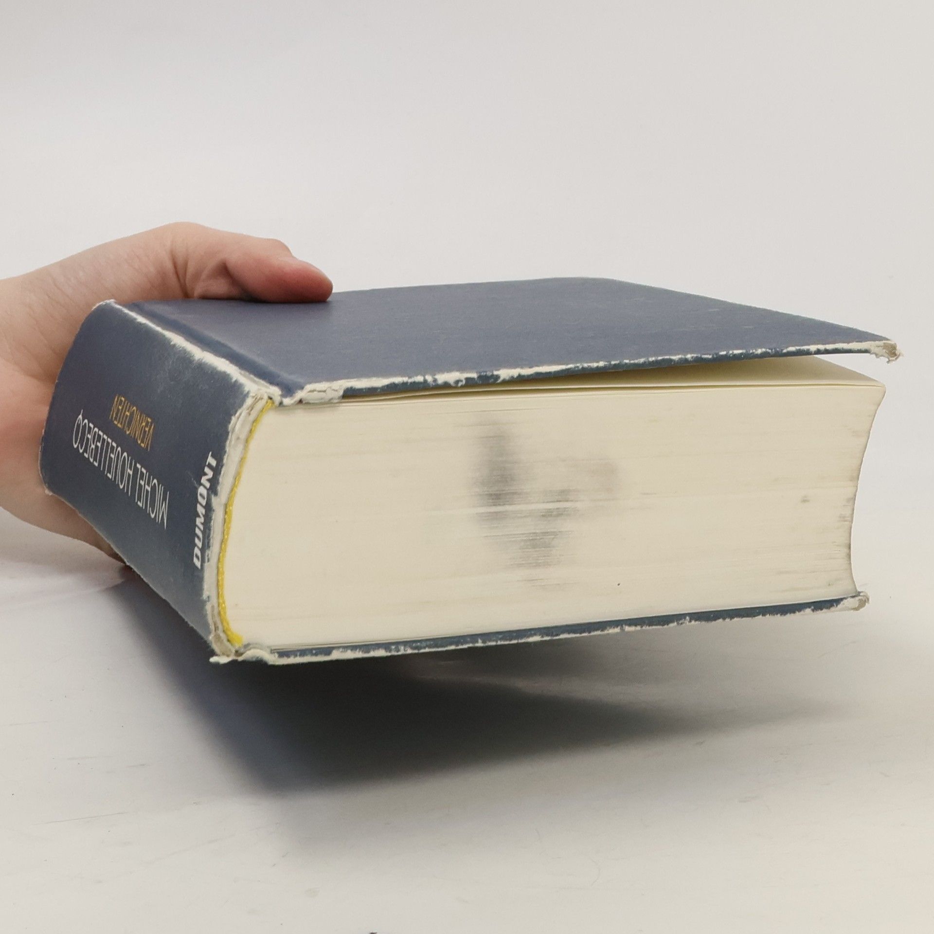 Michel Houellebecq Vernichten