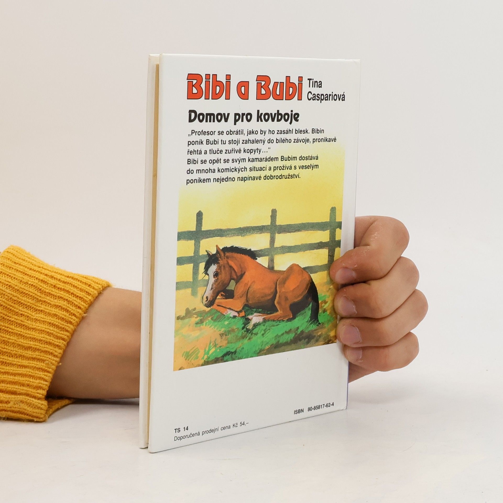 Tina Caspari Bibi a Bubi. Domov pro kovboje
