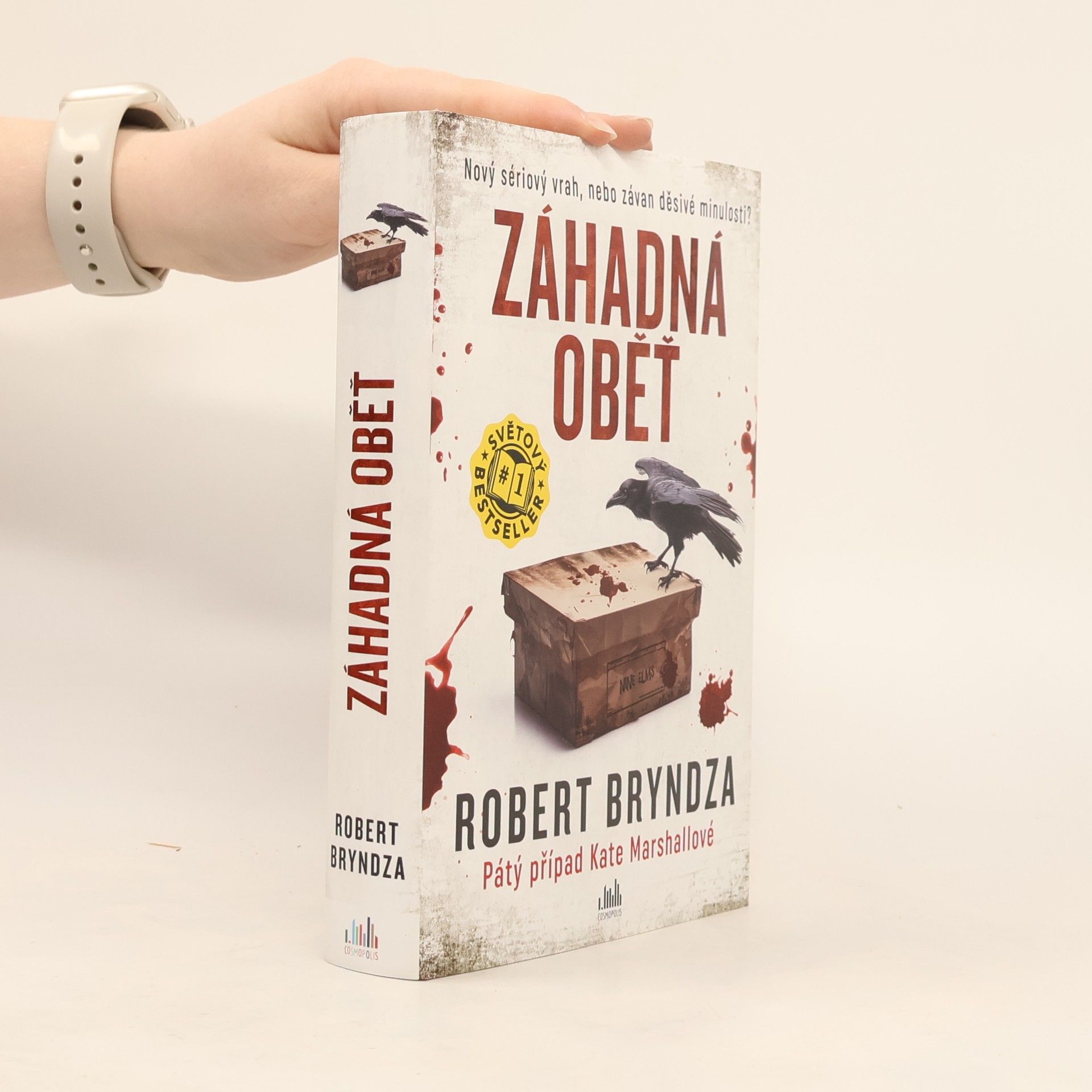 Robert Bryndza Záhadná oběť