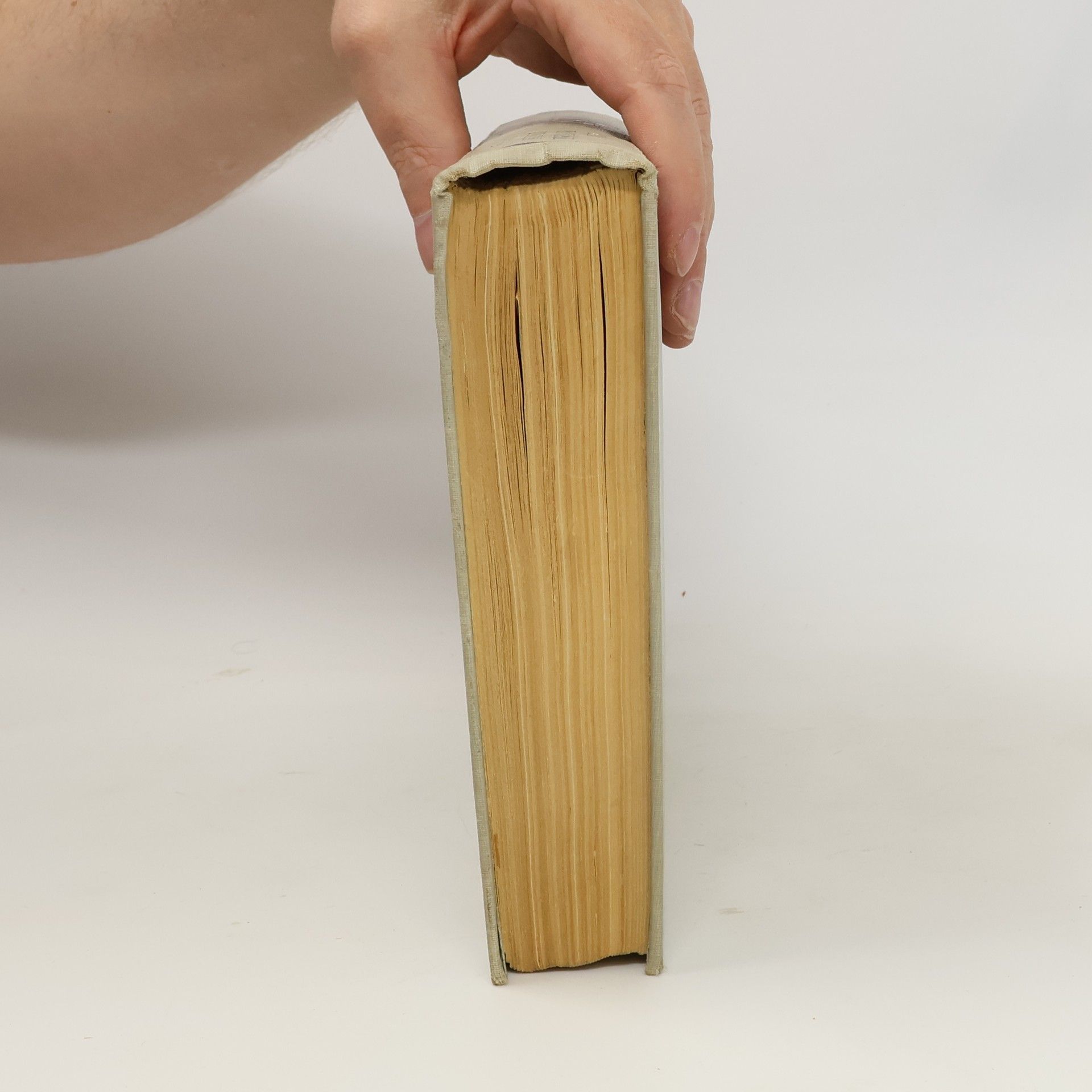 Jan Otokar Fischer Dějiny francouzské literatury 19. a 20. stol. 1