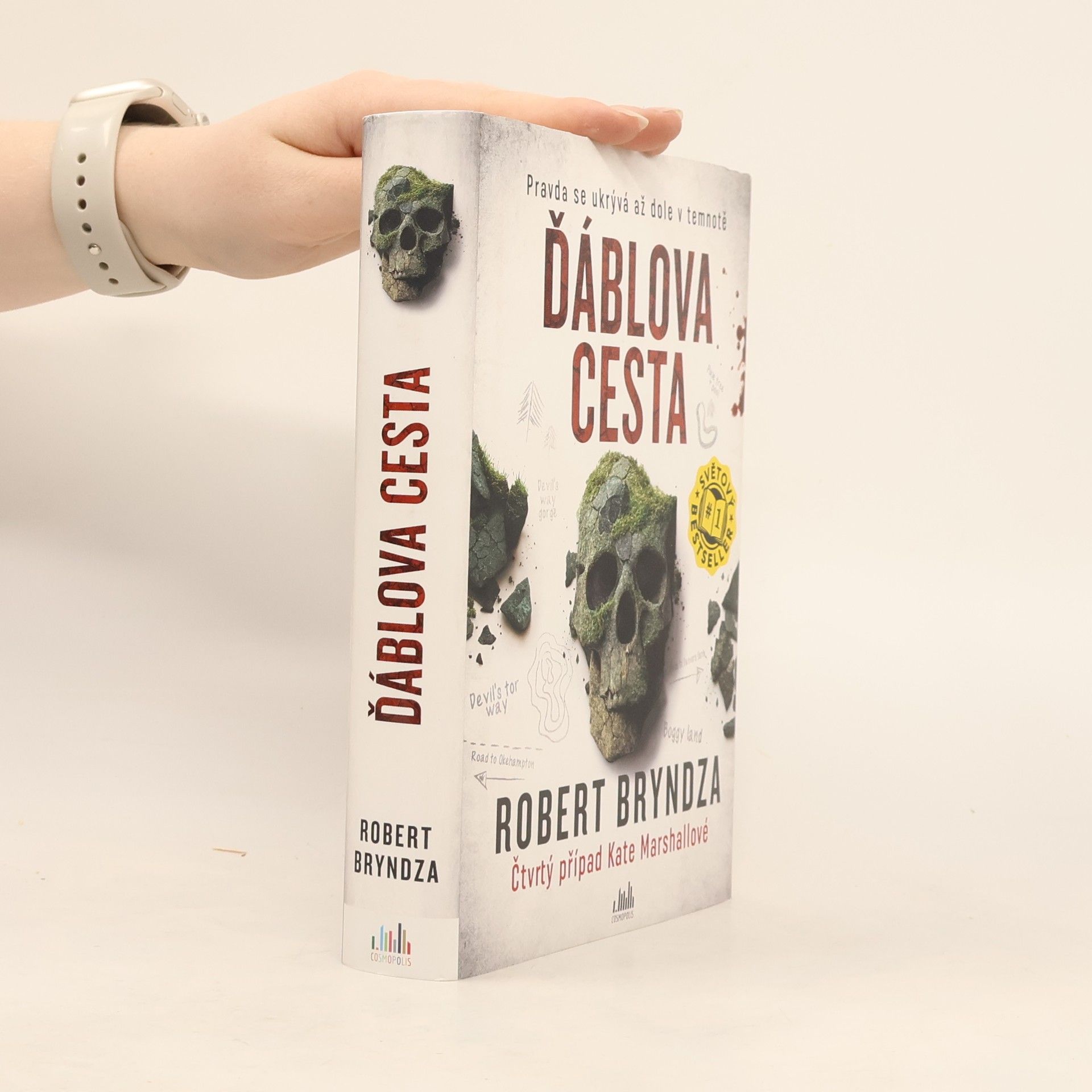 Robert Bryndza Ďáblova cesta