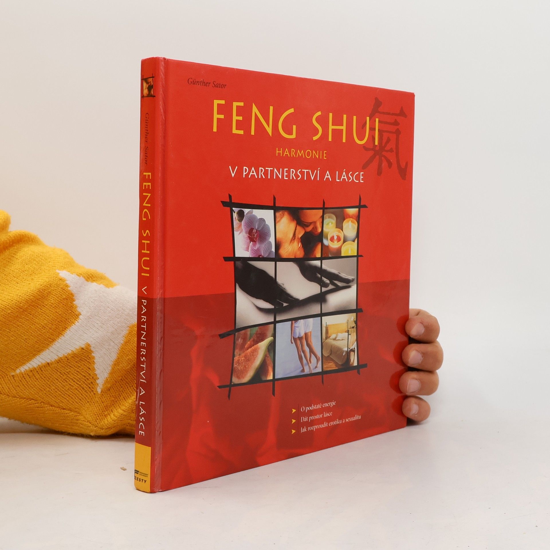 Günther Sator Feng shui. Harmonie v partnerství a lásce