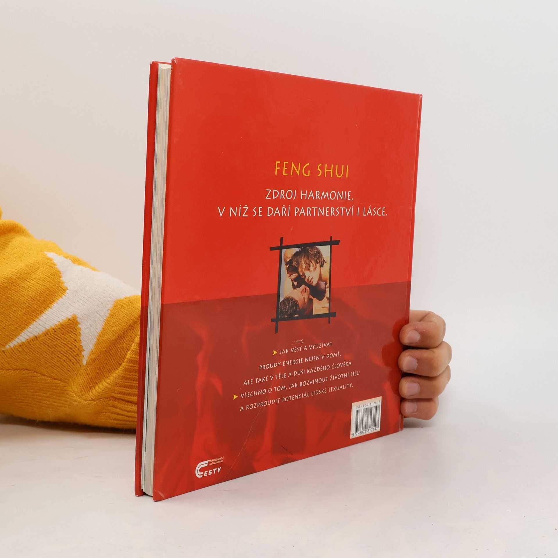 Günther Sator Feng shui. Harmonie v partnerství a lásce