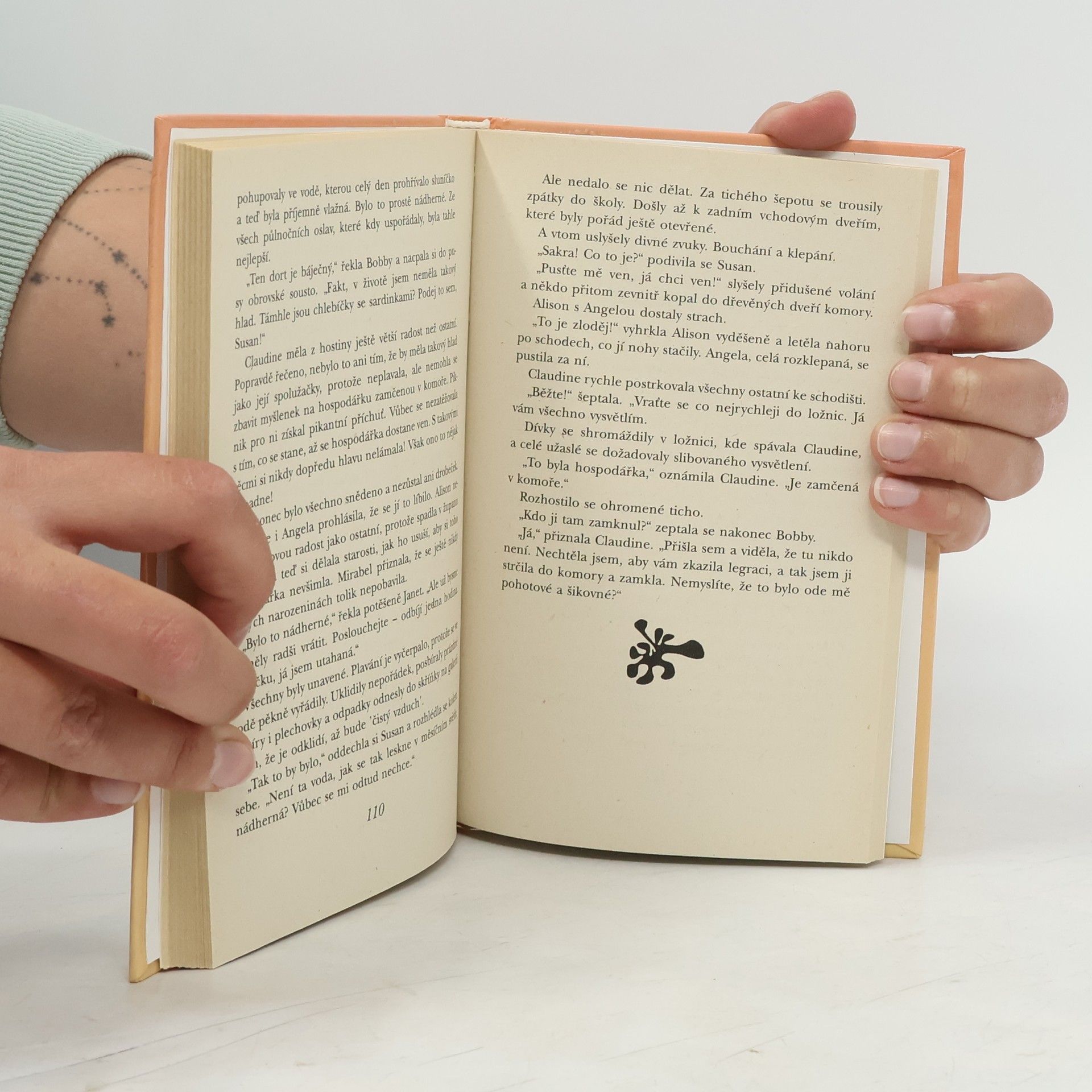 Enid Blyton Dvojčata a Claudine