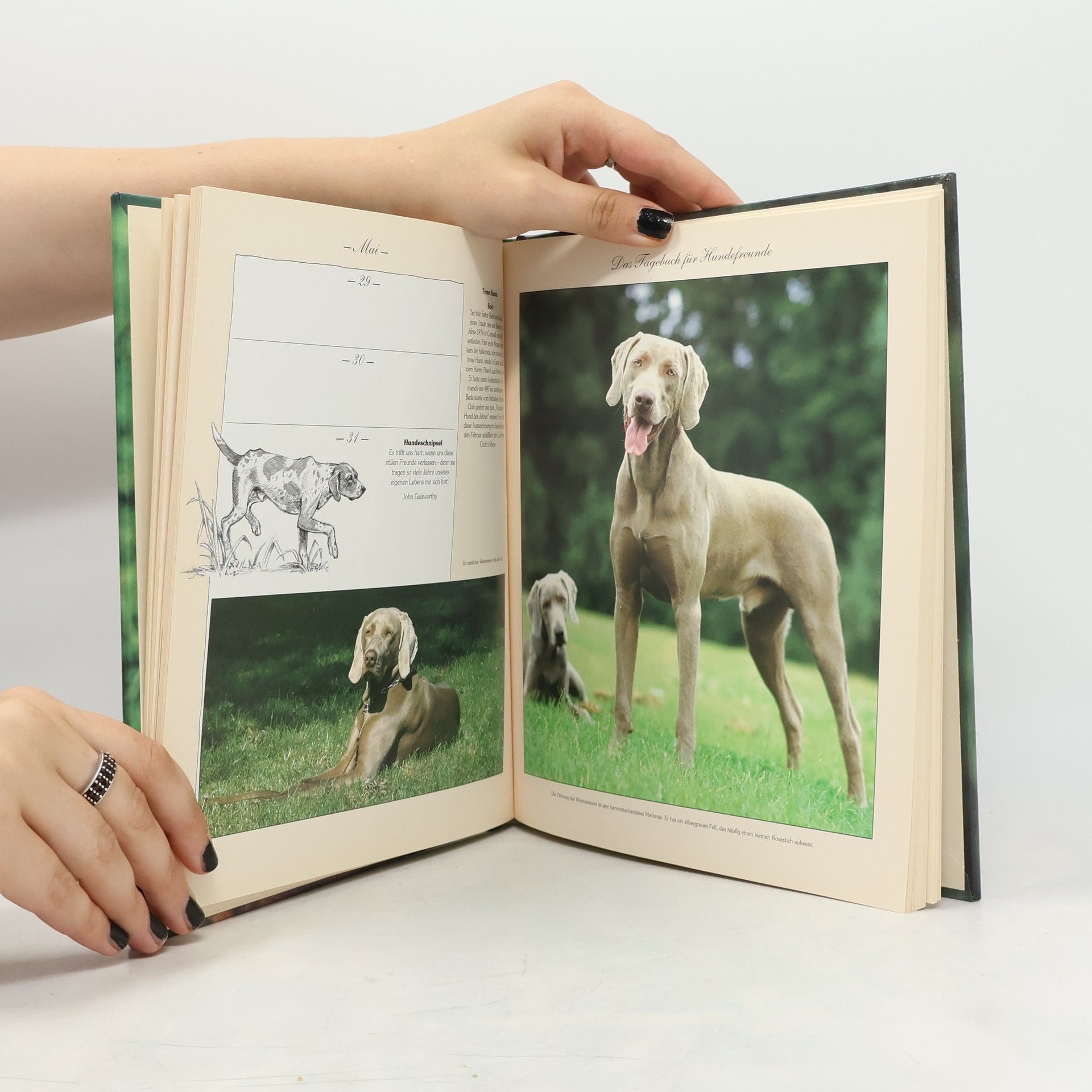 Richard Dawes Das Tagebuch für Hundefreunde