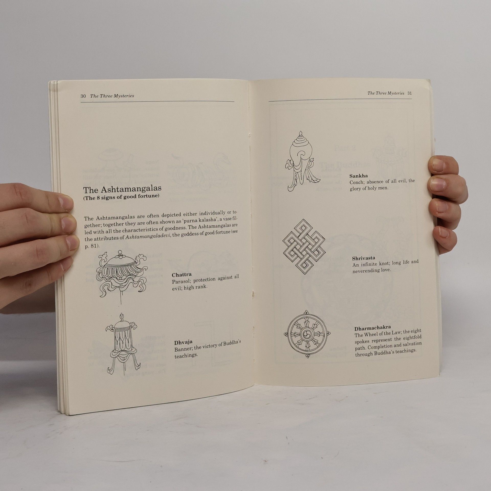 Eva Rudy Jansen The Book of Buddhas